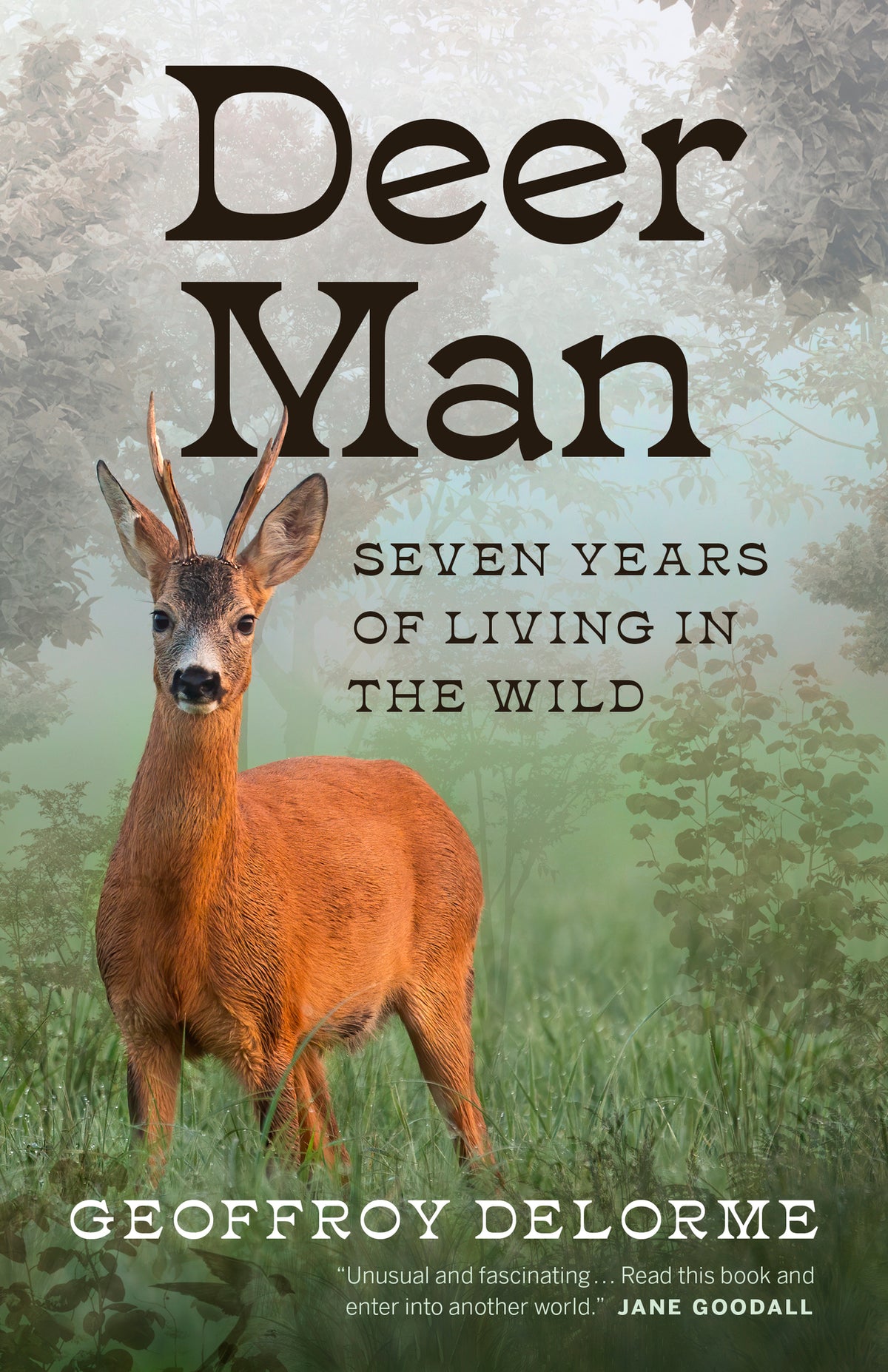 Cover image for Deer Man ISBN 9781771649803