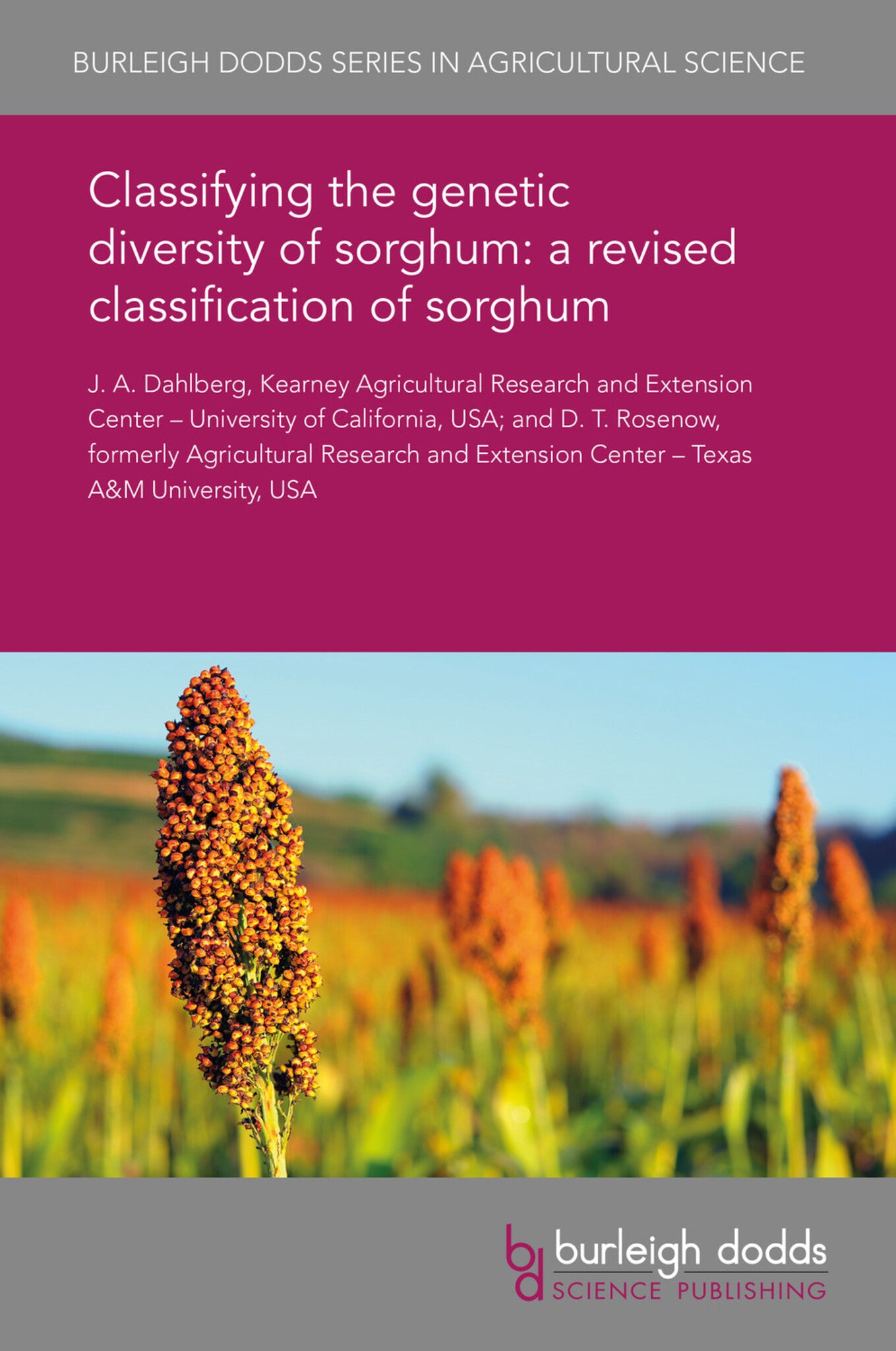 Cover image for Classifying the genetic diversity of sorghum: a revised classification of sorghum ISBN 9781838795290