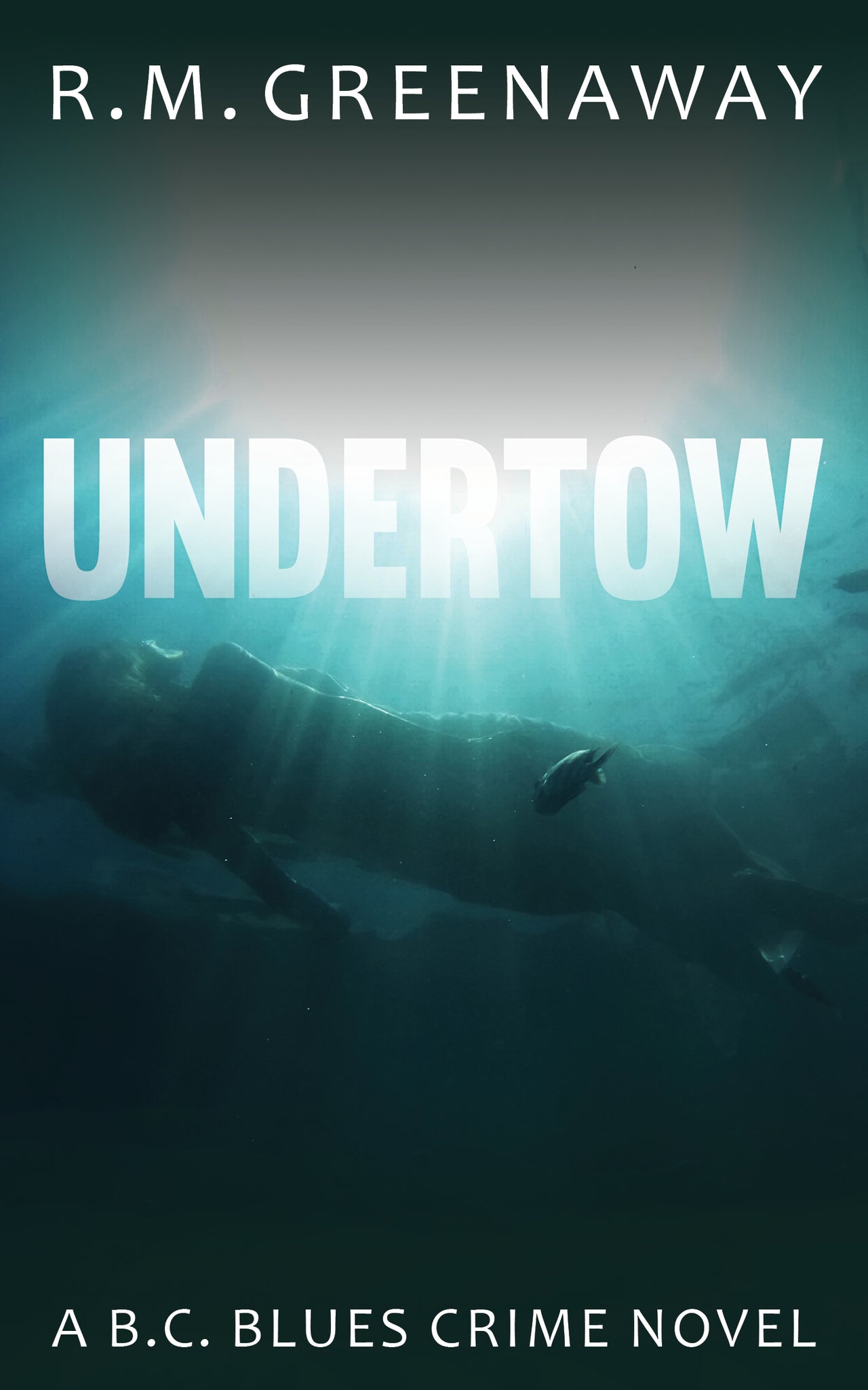 Cover image for Undertow ISBN 9781459735583