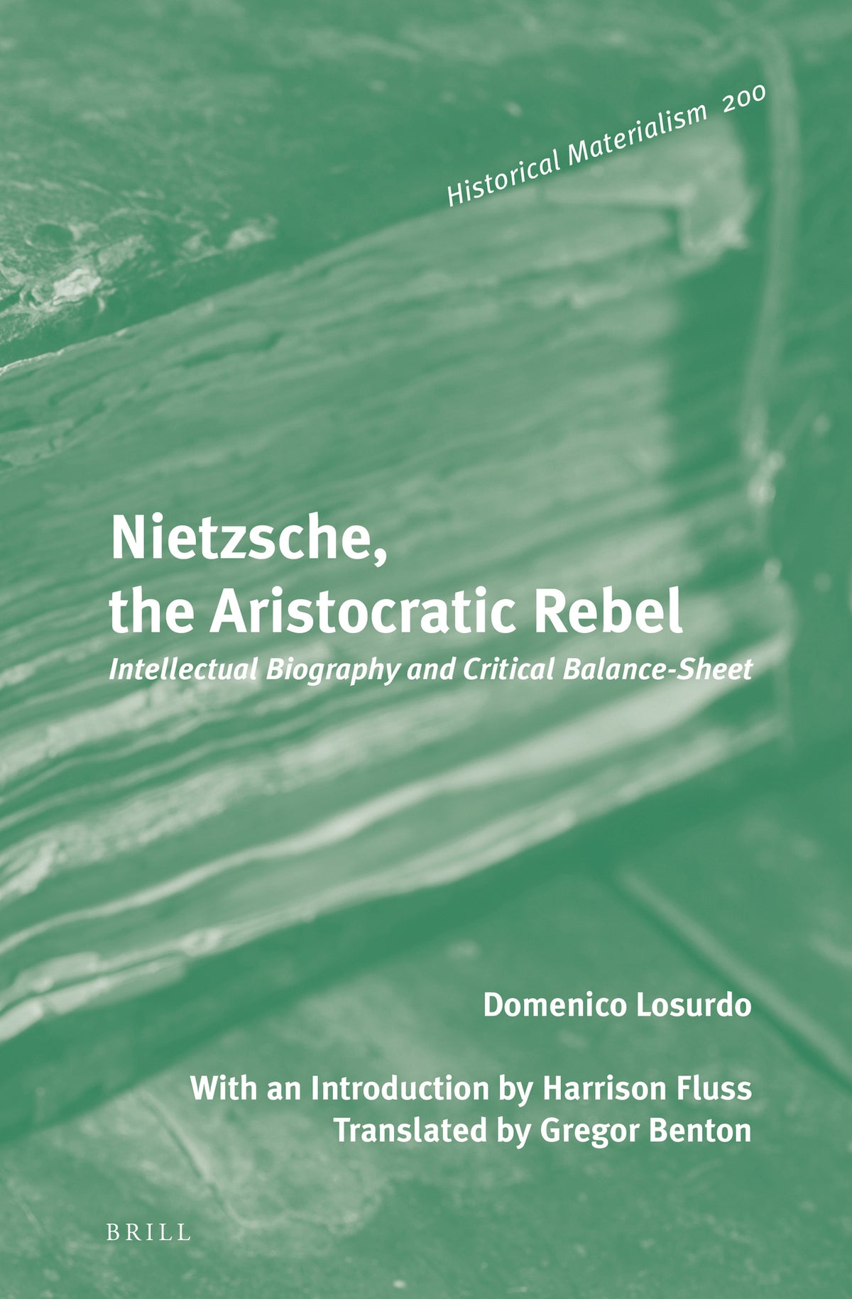 Cover image for Nietzsche, the Aristocratic Rebel ISBN 9789004270947