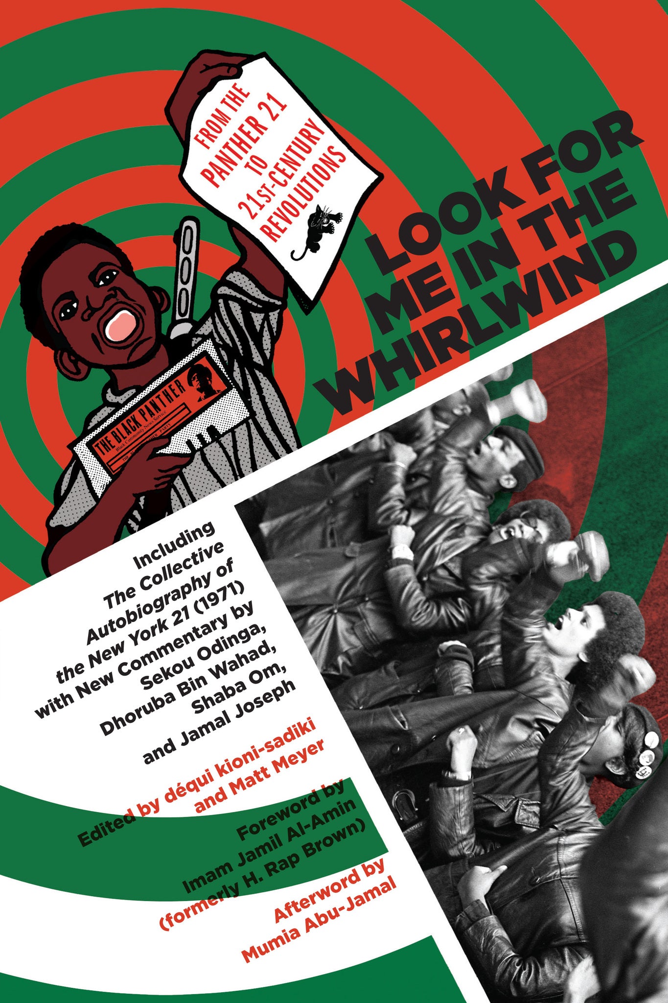 Cover image for Look for Me in the Whirlwind ISBN 9781629633893