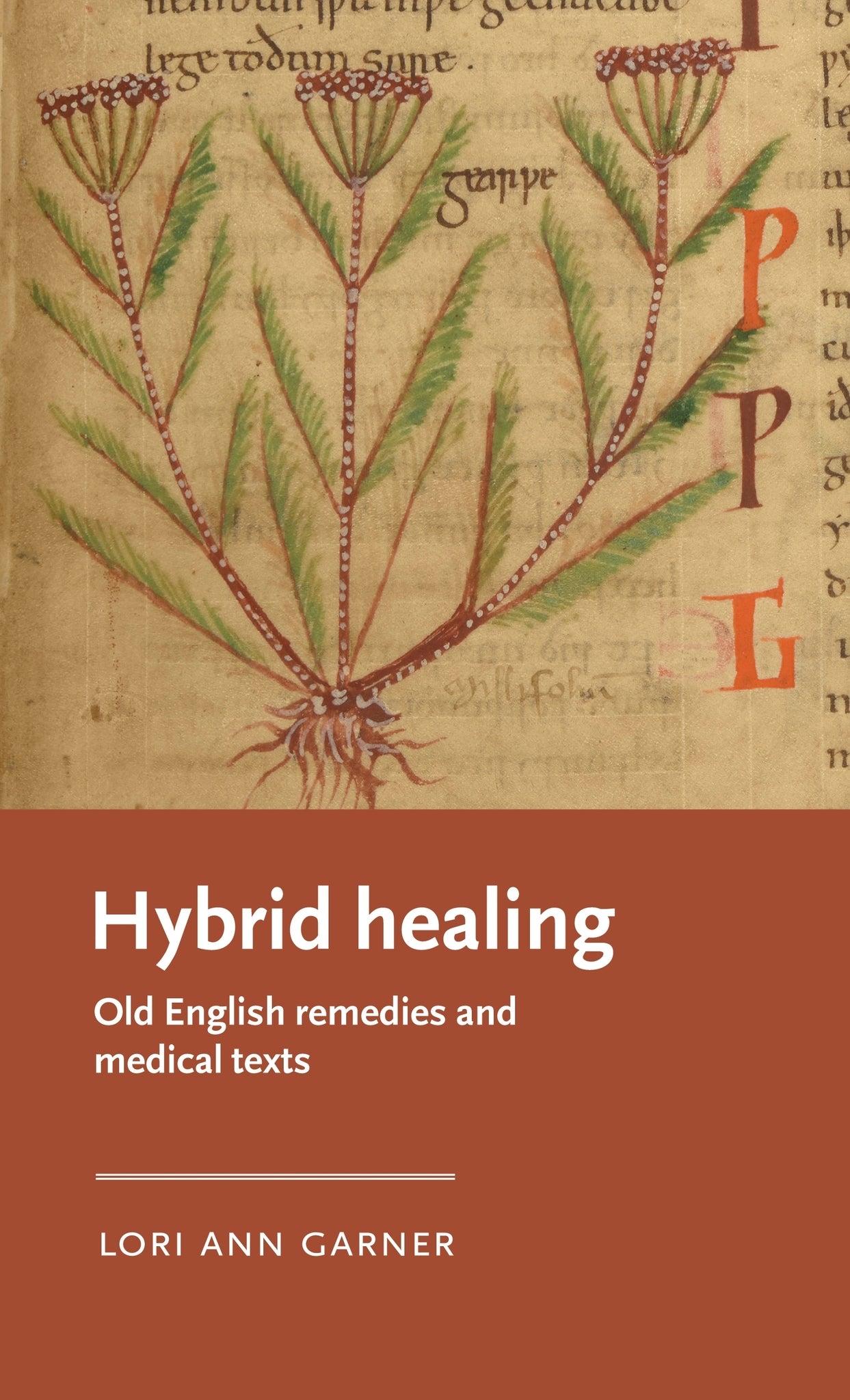 Cover image for Hybrid healing ISBN 9781807072919