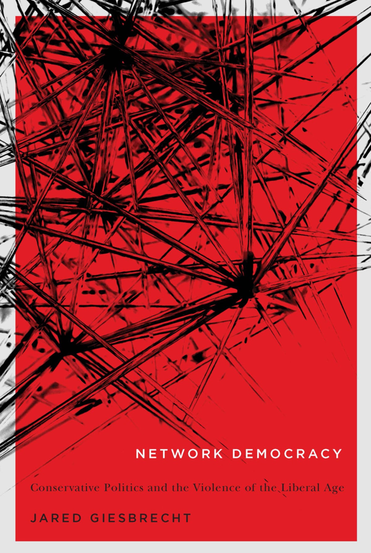 Cover image for Network Democracy ISBN 9780773548541
