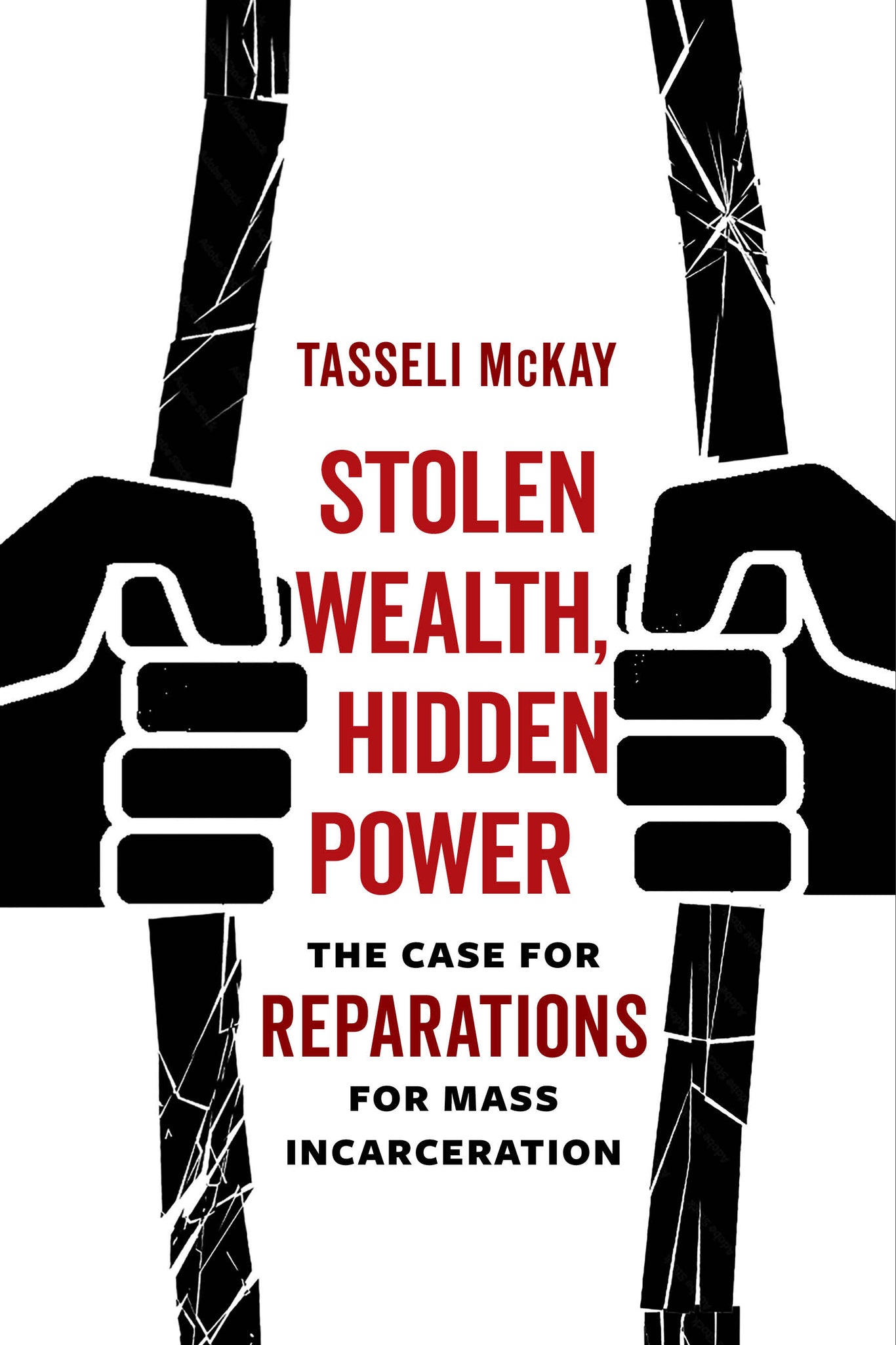 Cover image for Stolen Wealth, Hidden Power ISBN 9780520389472