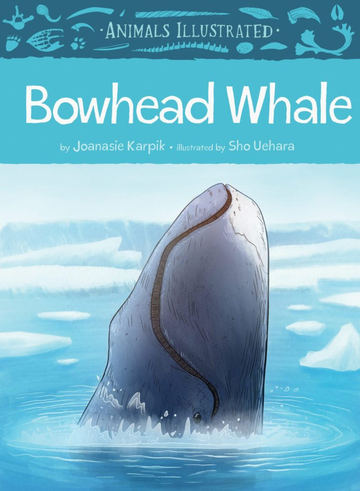 Cover image for Animals Illustrated: Bowhead Whale ISBN 9781772271621