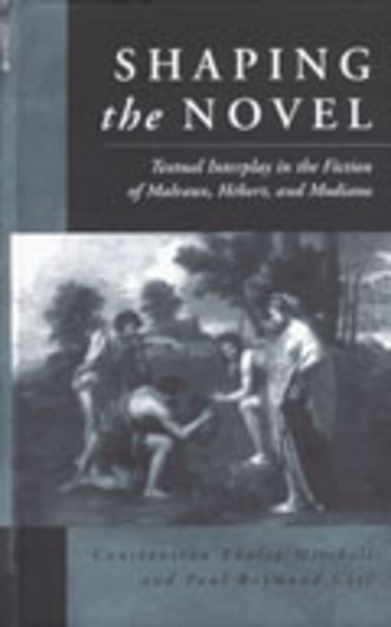Shaping the Novel