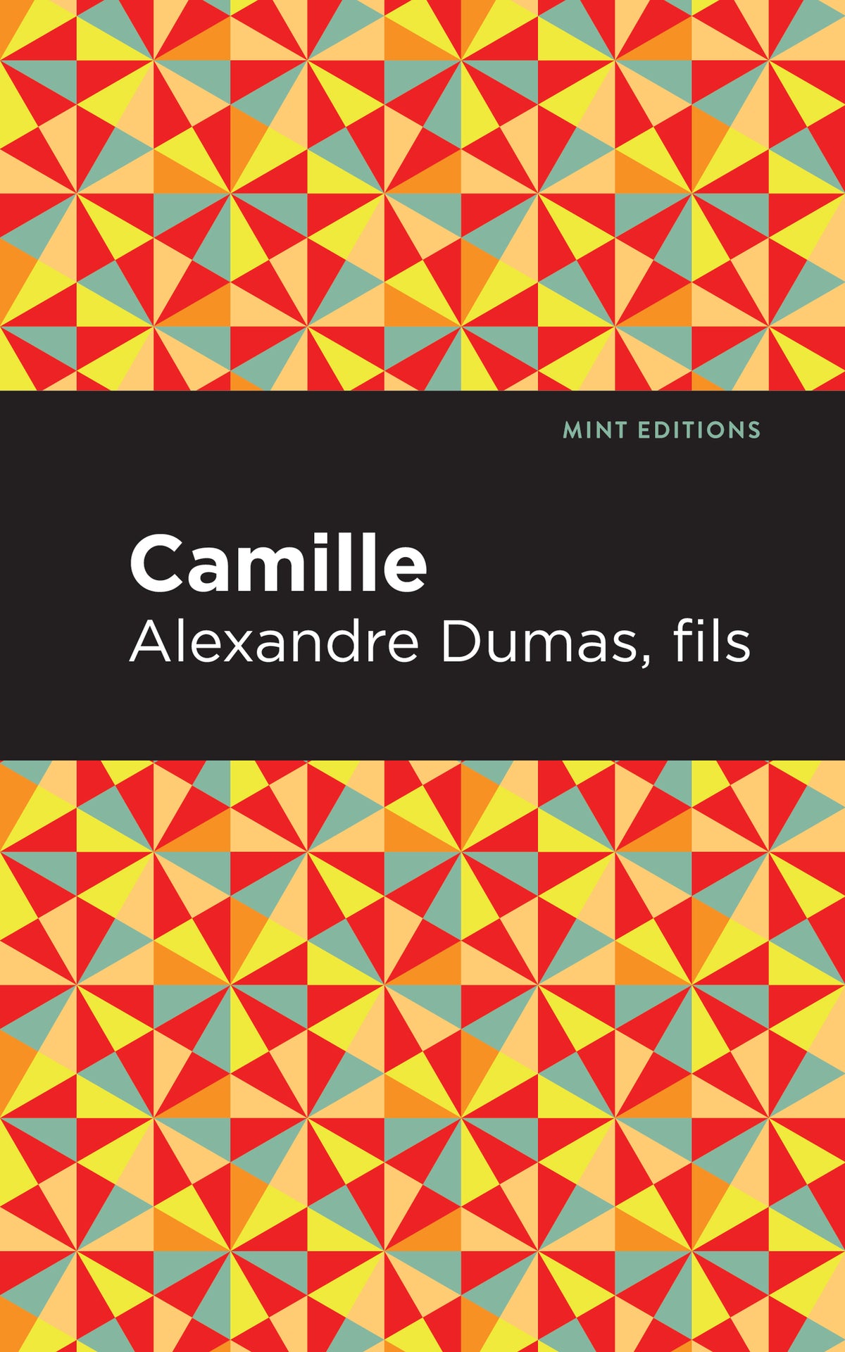 Cover image for Camille ISBN 9781513209234