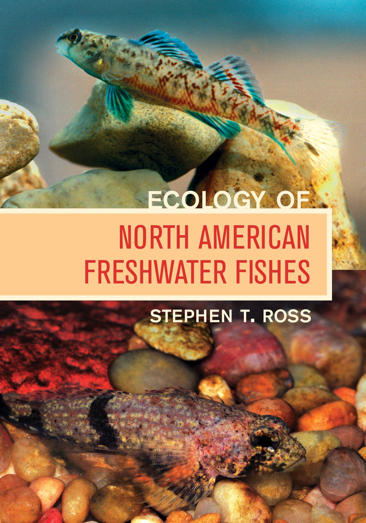 Cover image for Ecology of North American Freshwater Fishes ISBN 9780520955196