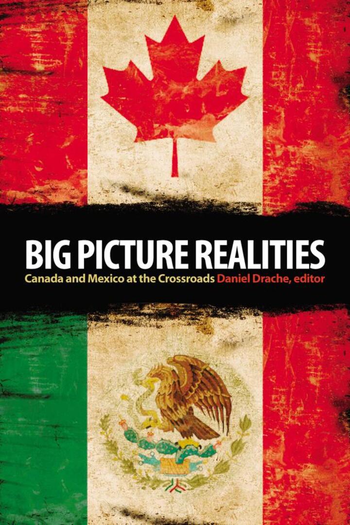 Cover image for Big Picture Realities ISBN 9781554580453