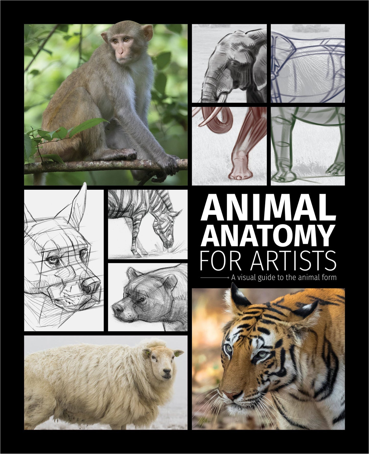 Cover image for Animal Anatomy for Artists ISBN 9781915992635