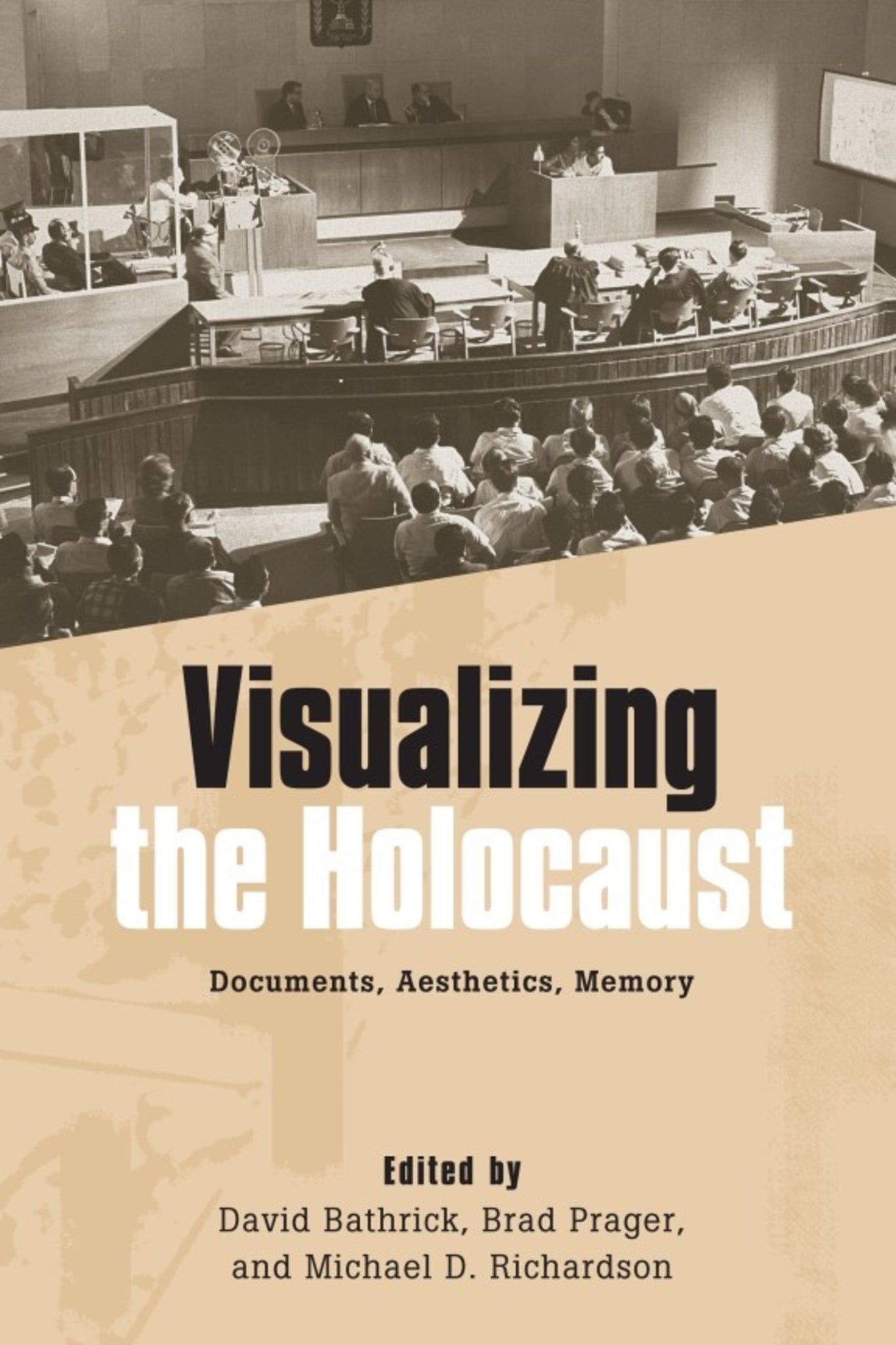 Cover image for Visualizing the Holocaust ISBN 9781571135421