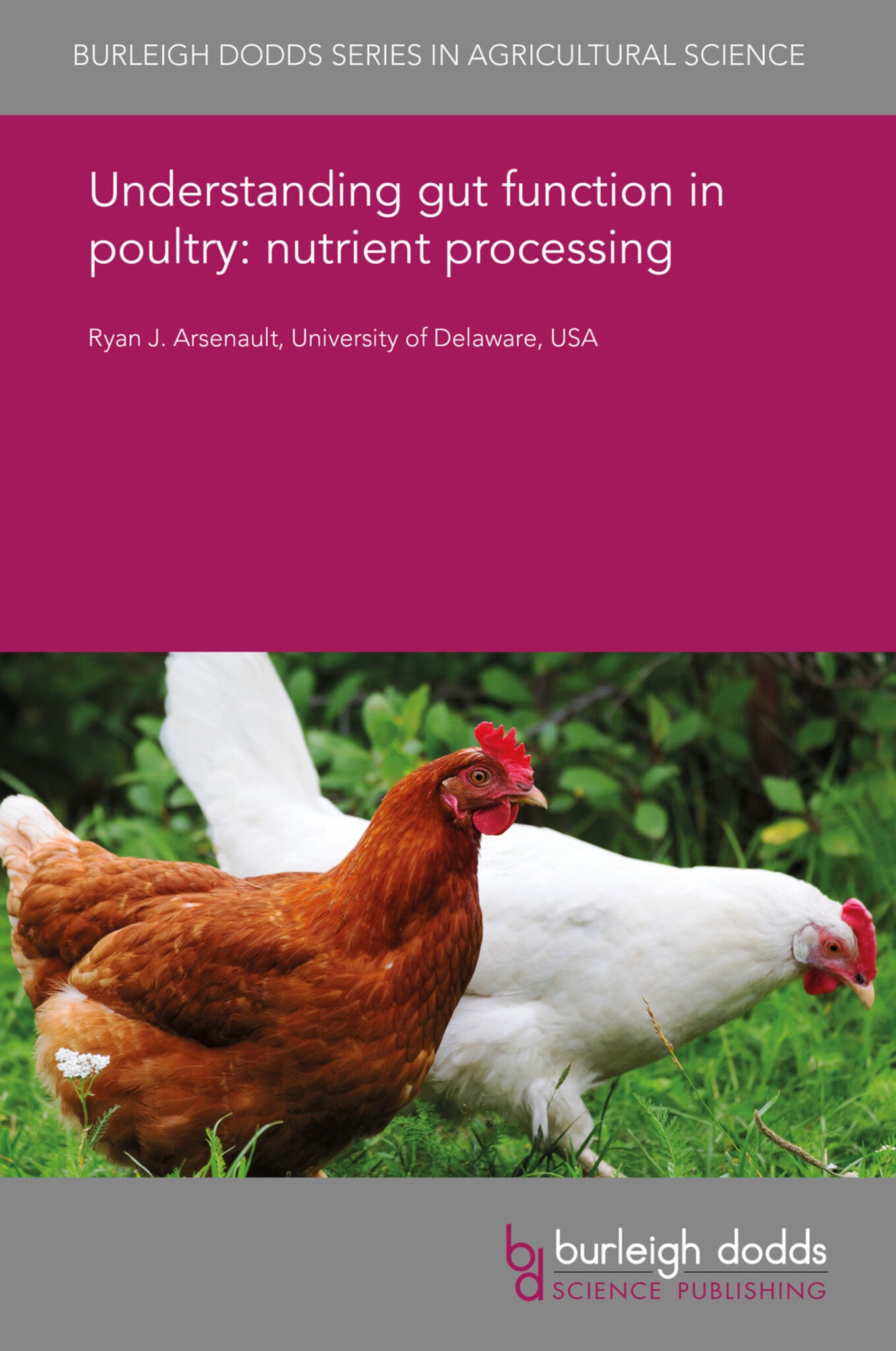 Cover image for Understanding gut function in poultry: immunometabolism at the gut level ISBN 9781838799687