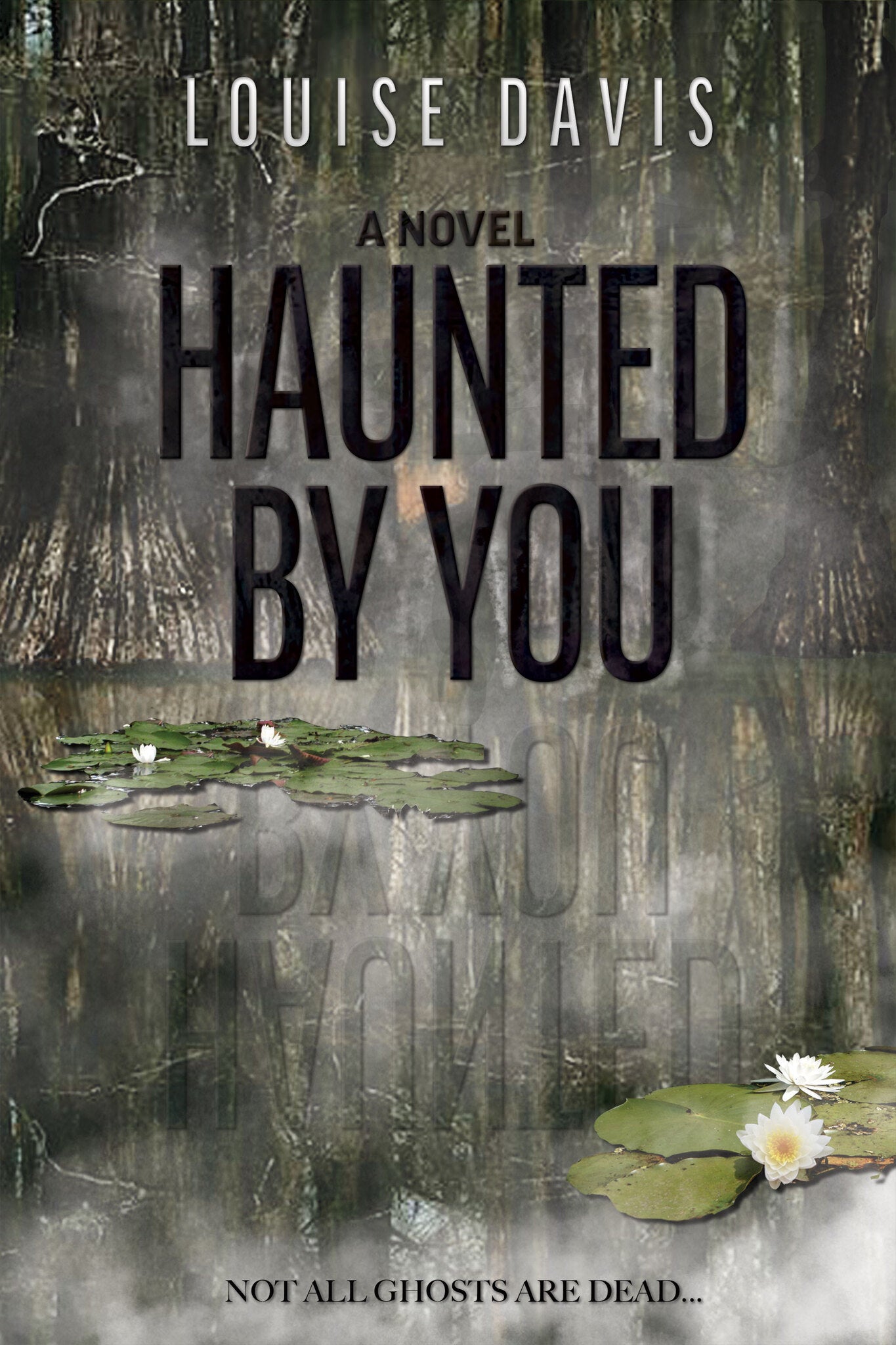 Cover image for Haunted by You ISBN 9781636981727