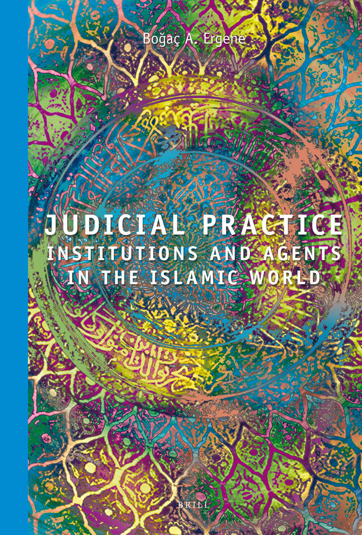 Cover image for Judicial Practice ISBN 9789004179349