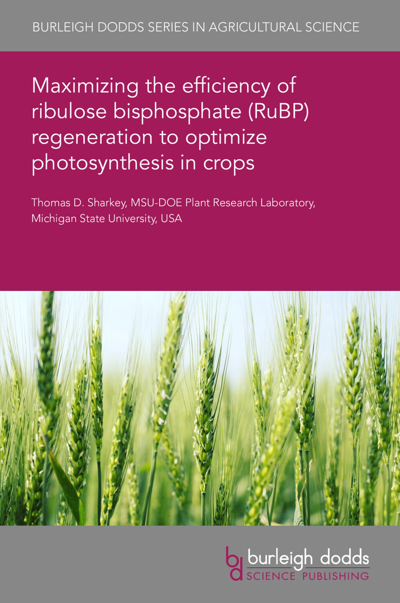 Cover image for Maximizing the efficiency of ribulose bisphosphate (RuBP) regeneration to optimize photosynthesis in crops ISBN 9781801467650