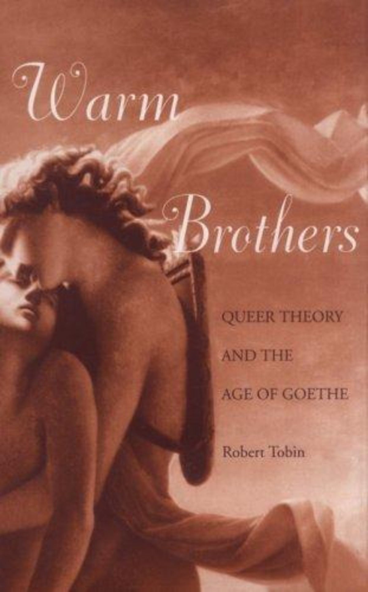 Cover image for Warm Brothers ISBN 9780812203608