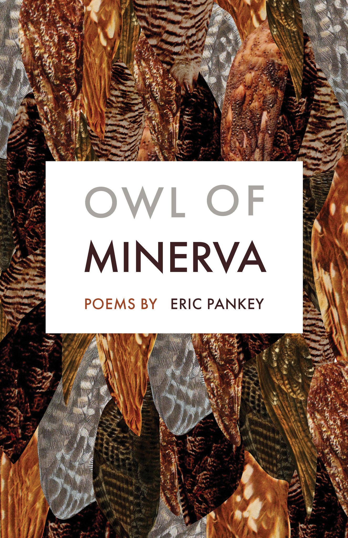 Cover image for Owl of Minerva ISBN 9781571315106