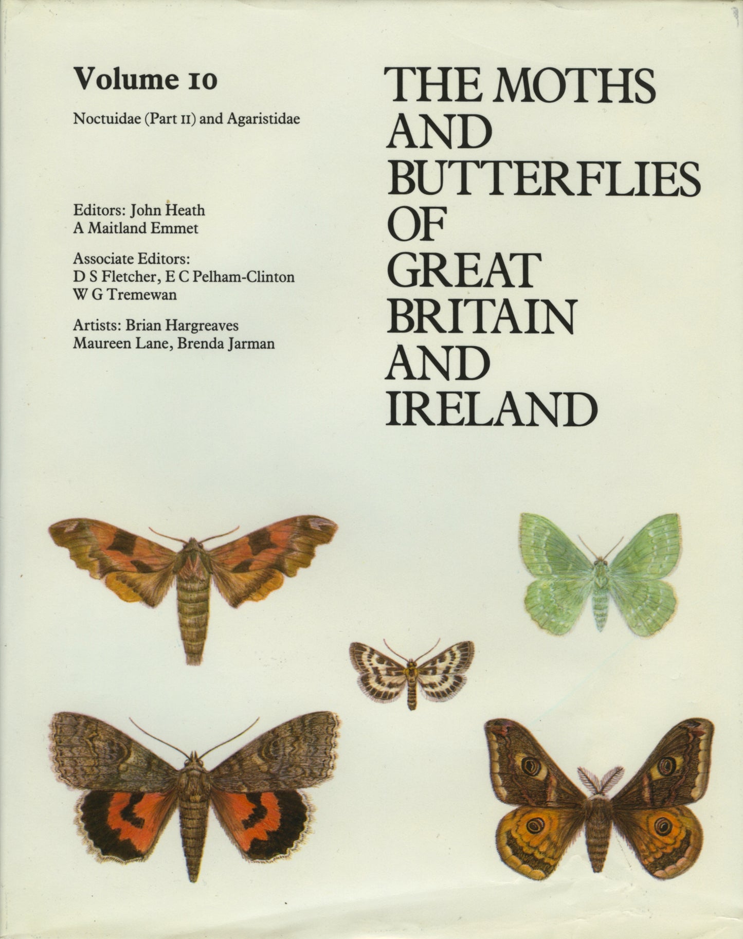 Noctuidae (Cuculliinae - Hypeninae) - Agaristidae