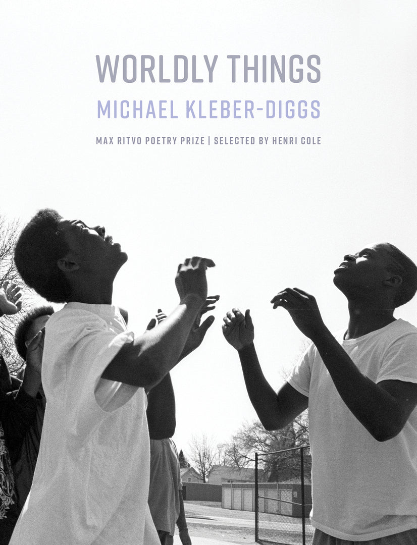 Cover image for Worldly Things ISBN 9781571315168