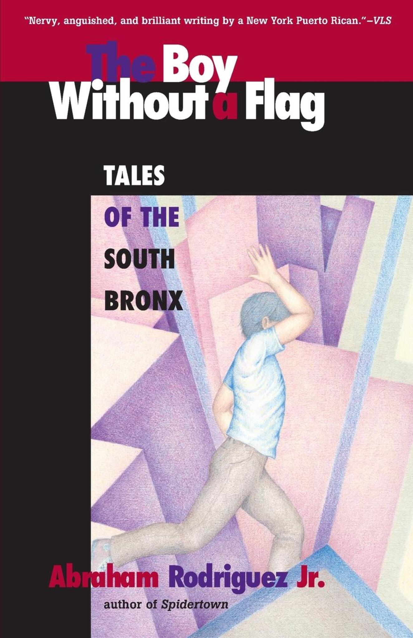 Cover image for Boy Without a Flag ISBN 9781571310286