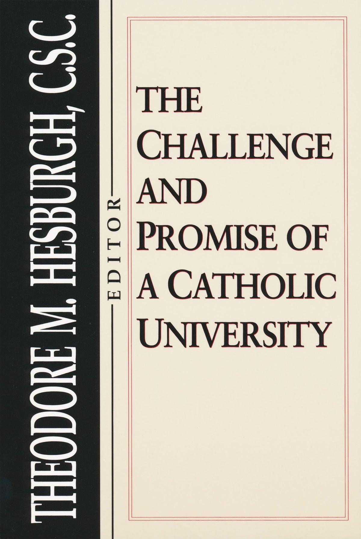 Cover image for The Challenge and Promise of a Catholic University ISBN 9780268008031