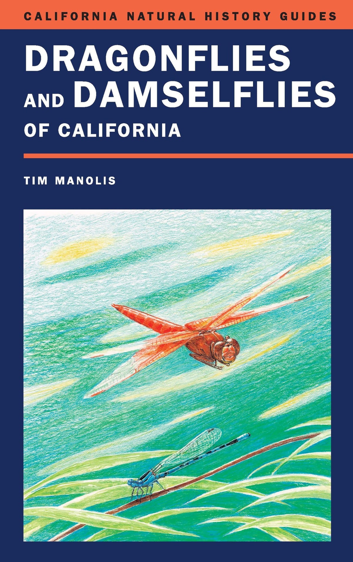 Cover image for Dragonflies and Damselflies of California ISBN 9780520235670