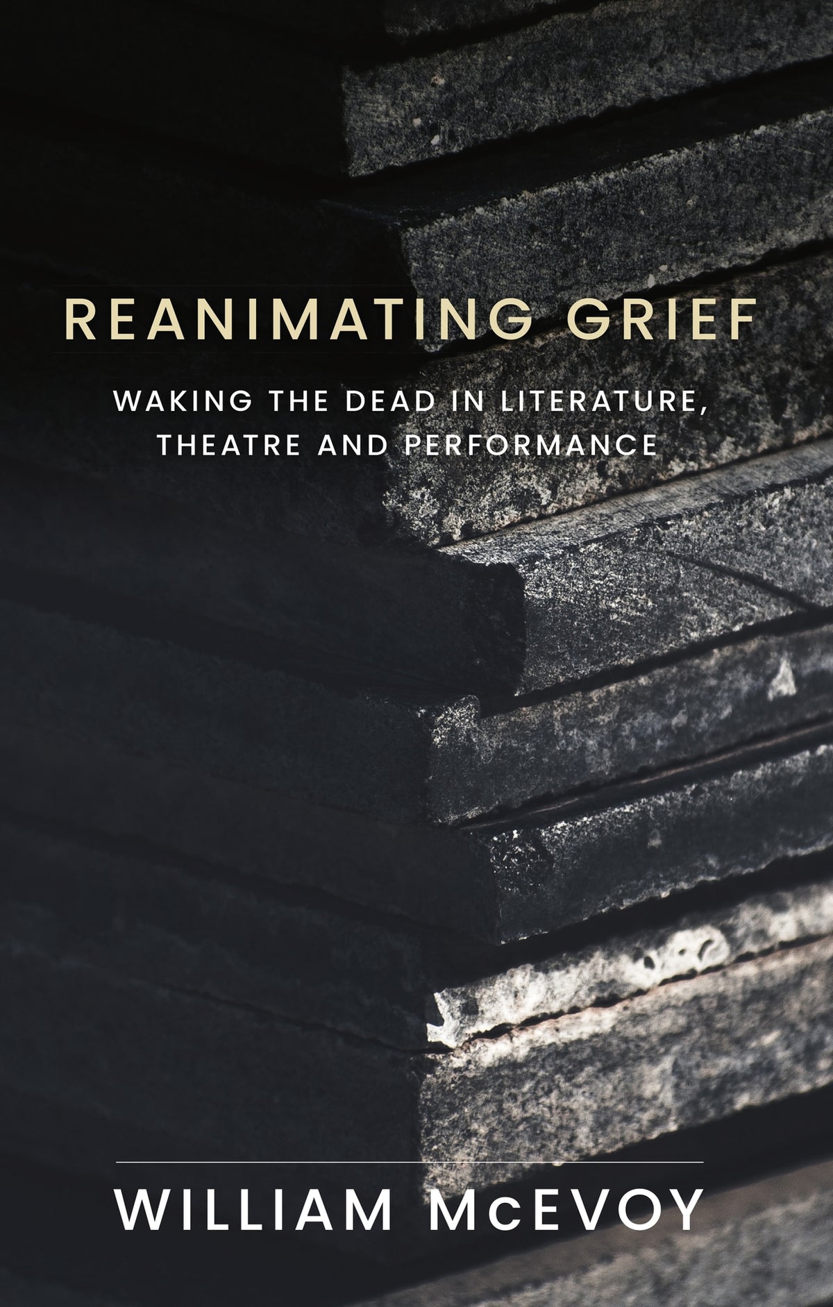 Cover image for Reanimating grief ISBN 9781526194695