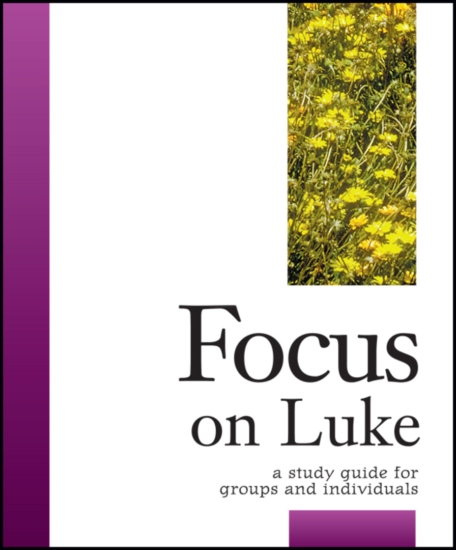 Cover image for Focus on Luke ISBN 9781889108674