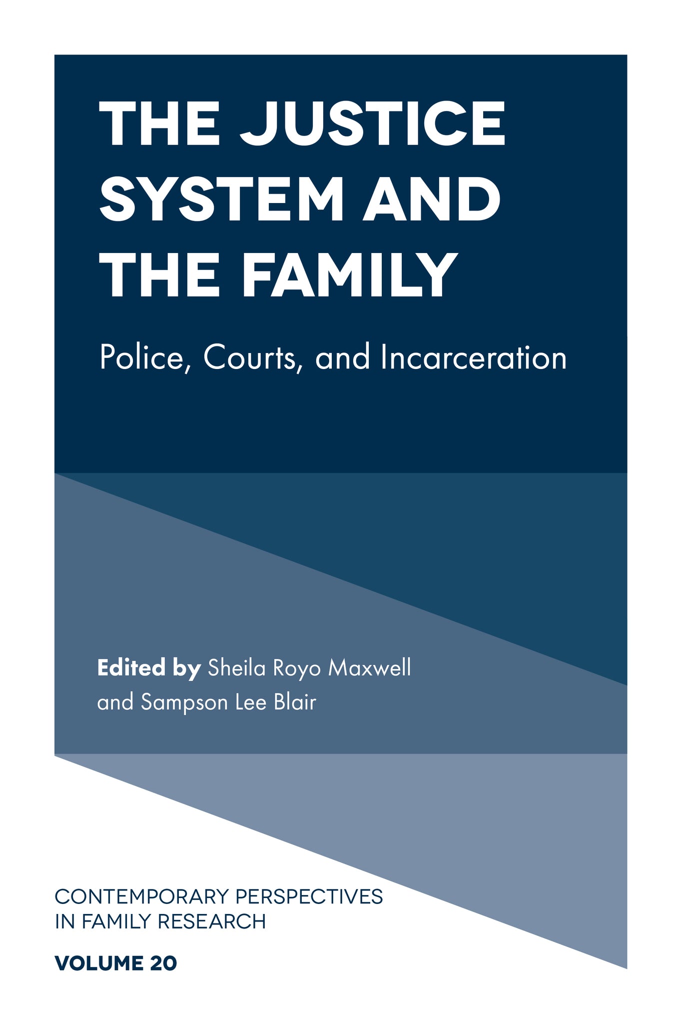 Cover image for The Justice System and the Family ISBN 9781803823607