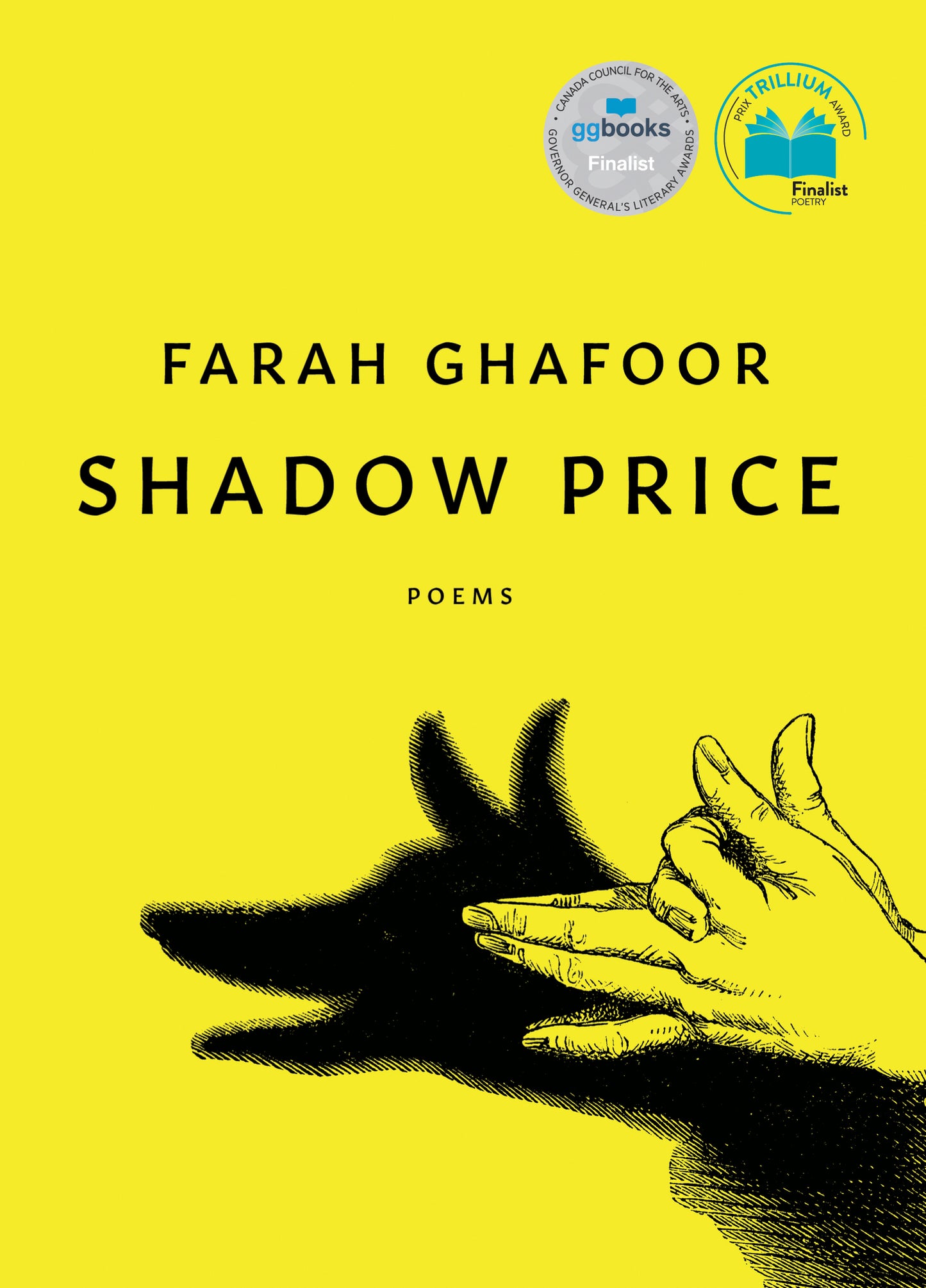 Shadow Price