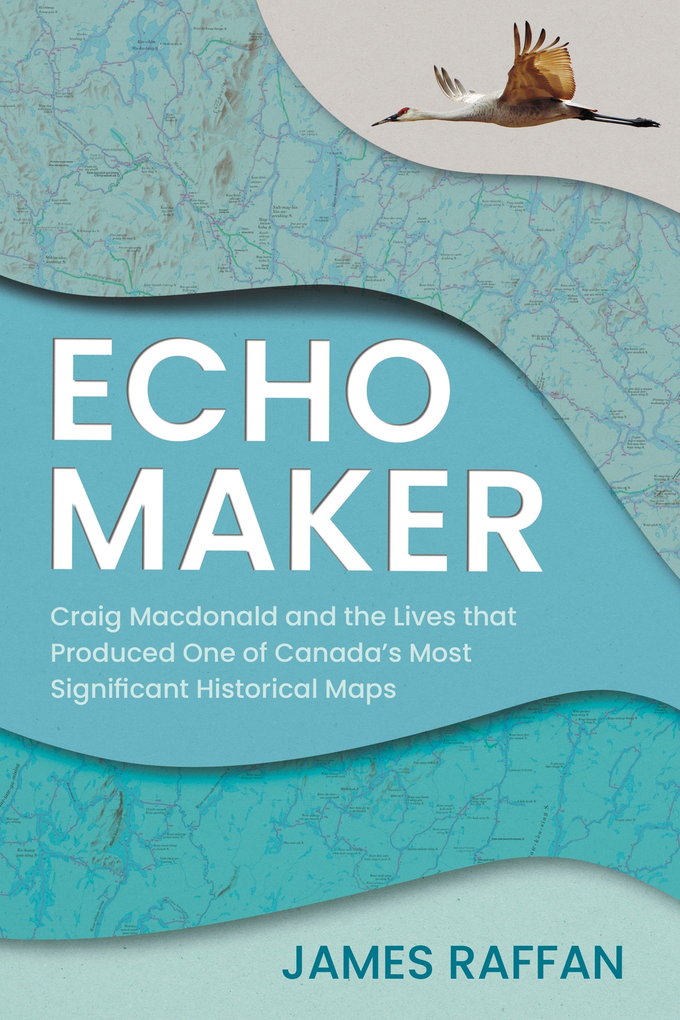 Cover image for Echo Maker ISBN 9781459755765