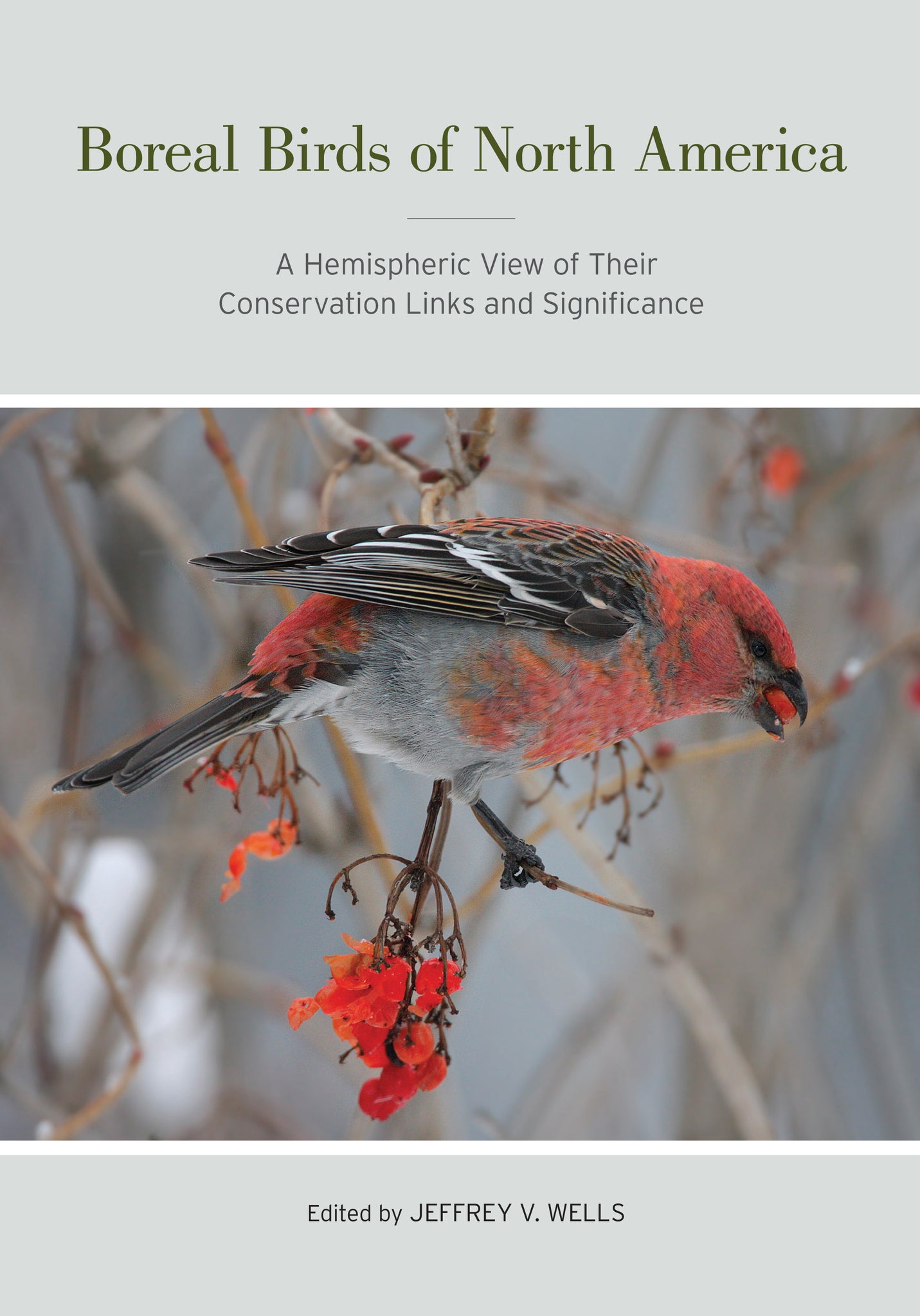 Cover image for Boreal Birds of North America ISBN 9780520950580