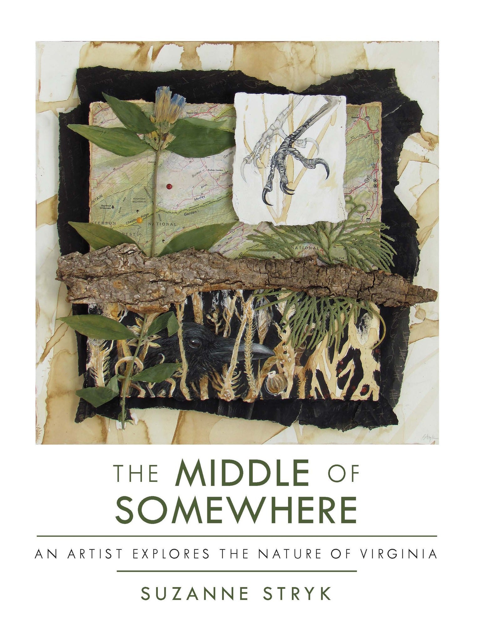 Cover image for The Middle of Somewhere ISBN 9781595349613