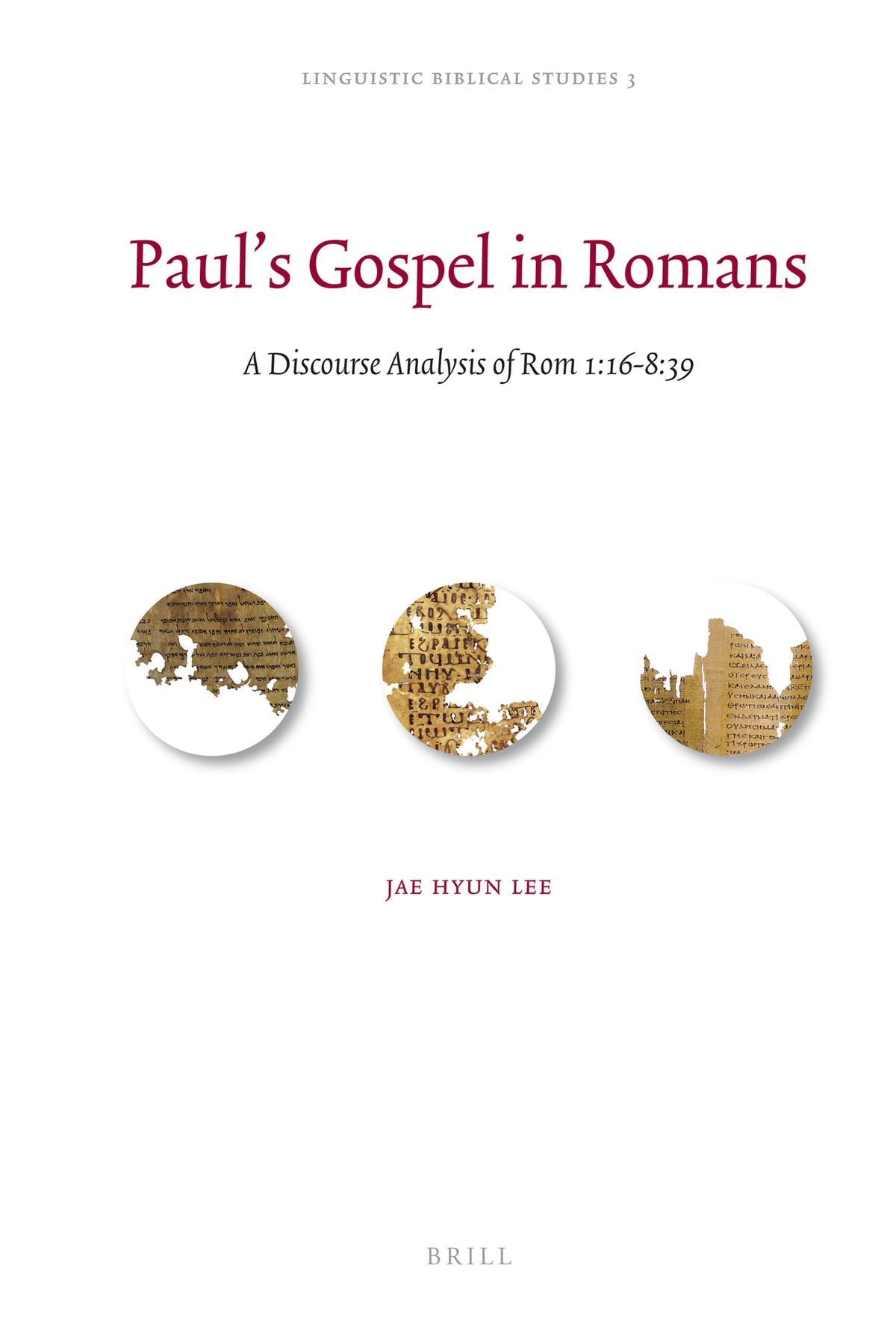 Cover image for Paul's Gospel in Romans ISBN 9789004179639