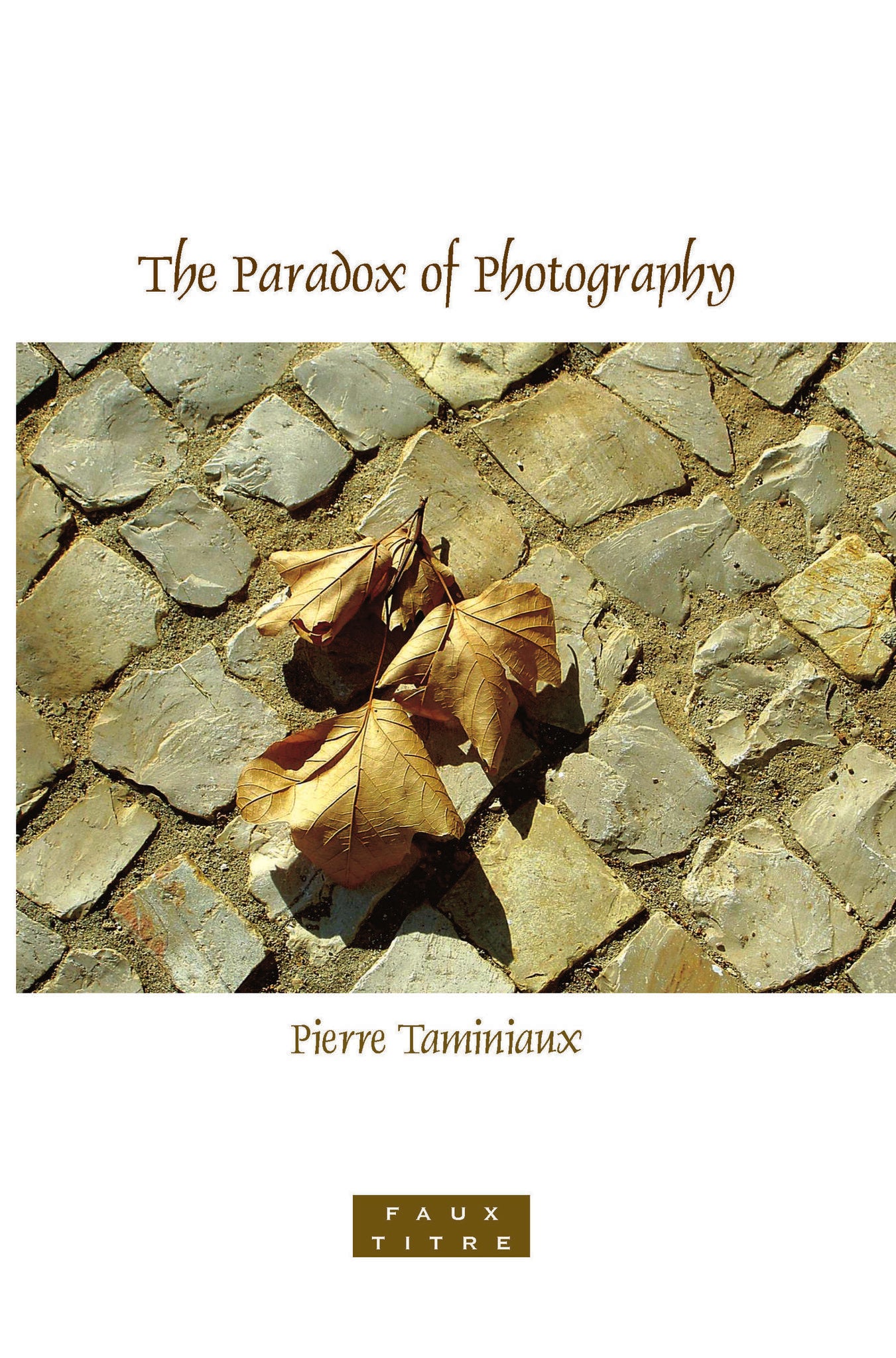The Paradox of Photography