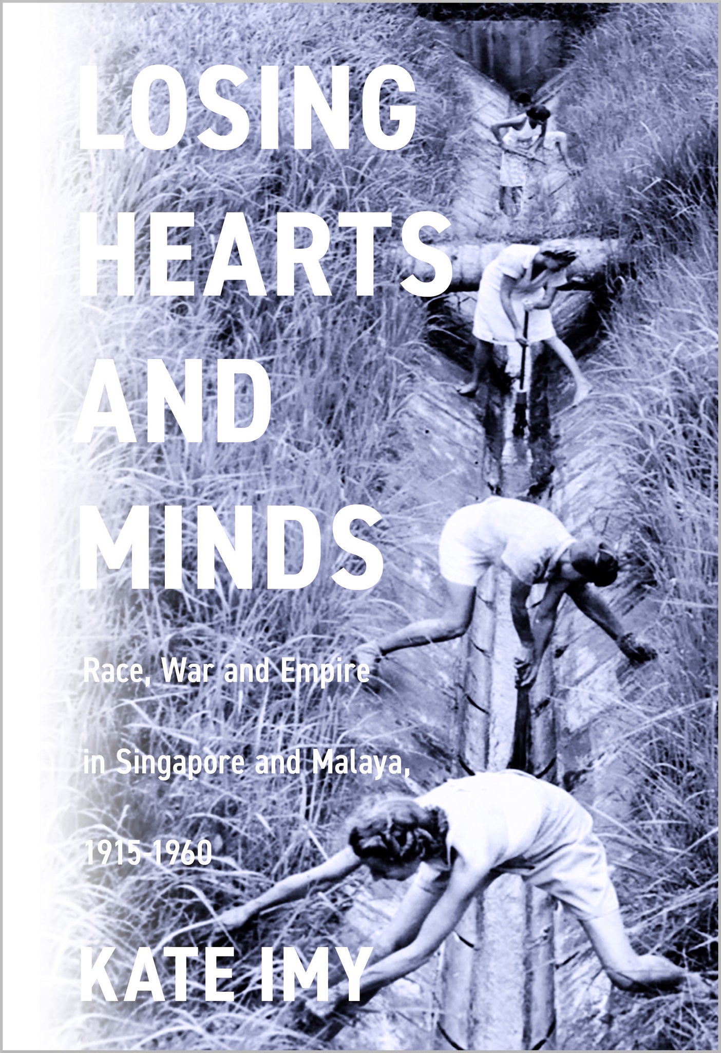 Cover image for Losing Hearts and Minds ISBN 9781503634626