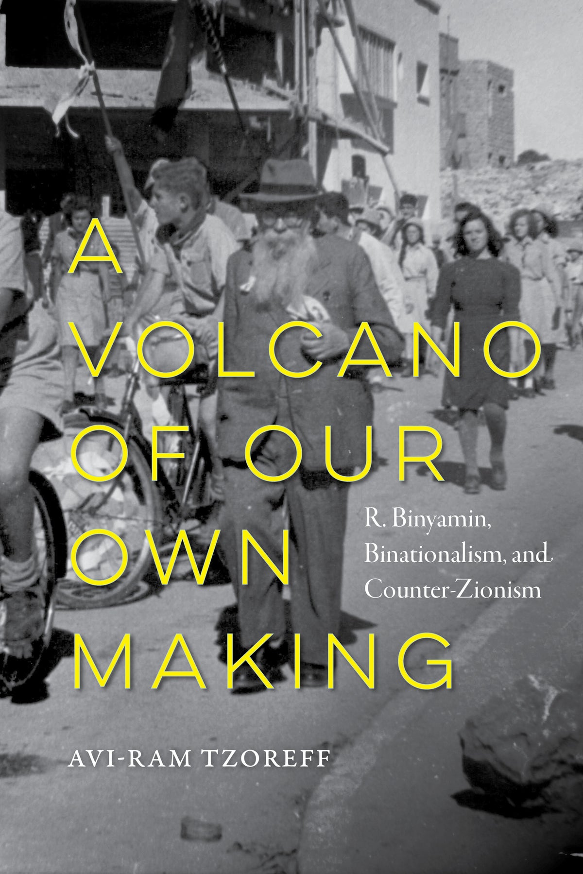 Cover image for A Volcano of Our Own Making ISBN 9780520435711