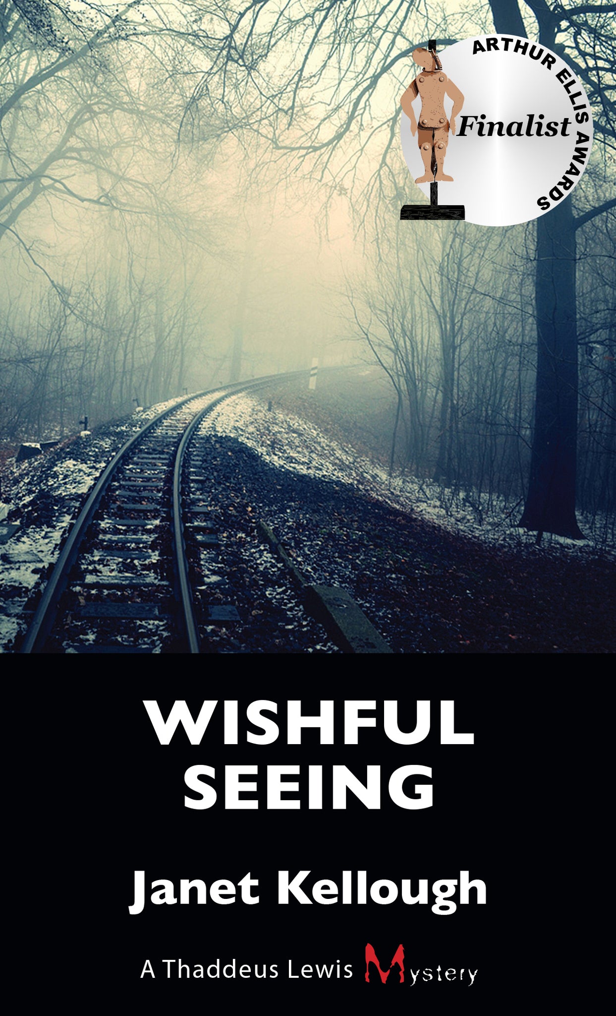Cover image for Wishful Seeing ISBN 9781459735378