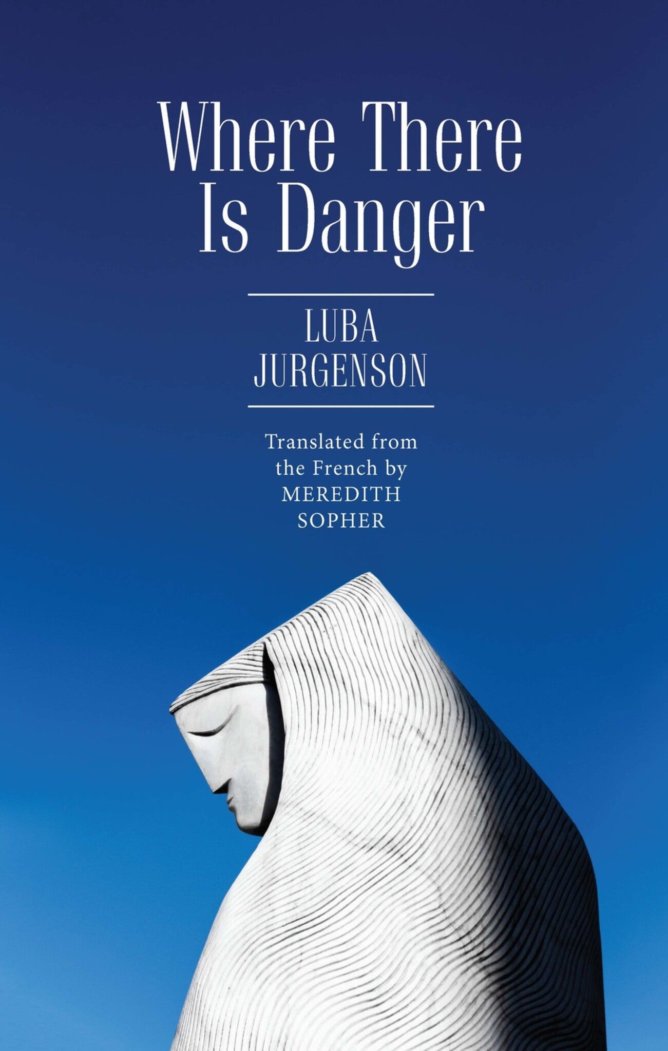 Cover image for Where There Is Danger ISBN 9781644690390