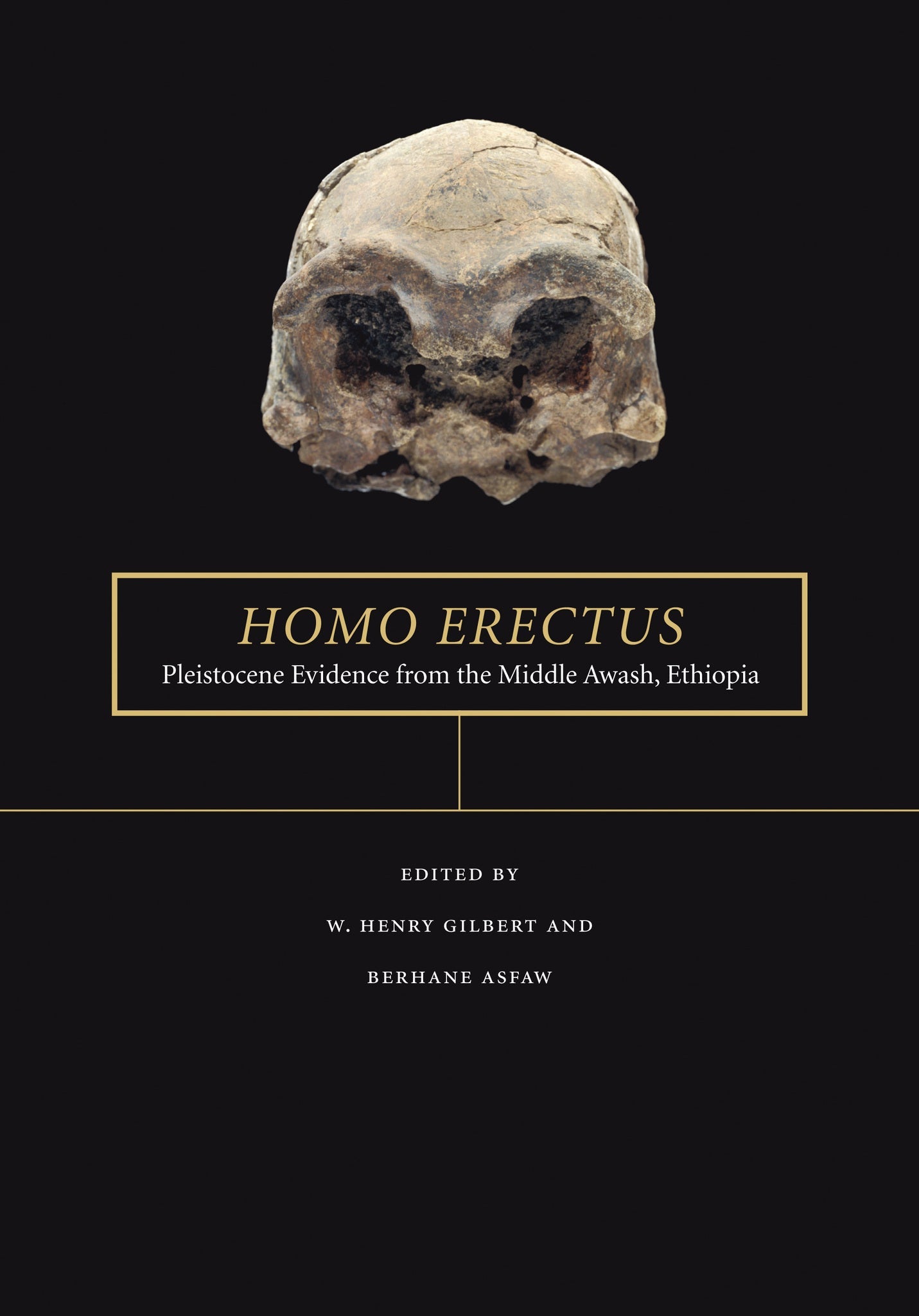 Cover image for Homo erectus ISBN 9780520933774