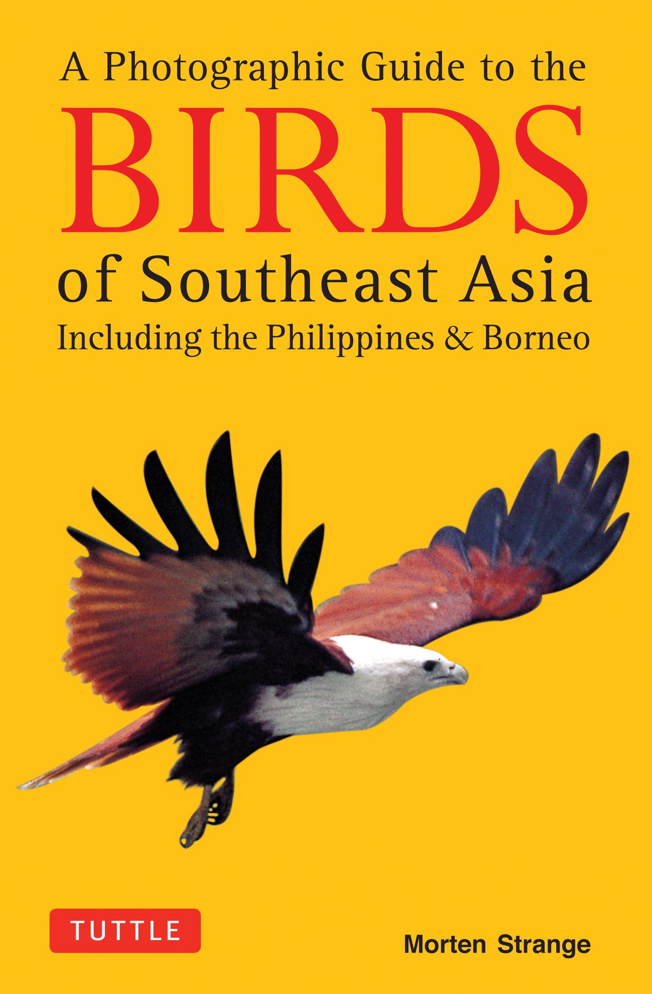 Cover image for A Photographic Guide to the Birds of Southeast Asia ISBN 9780804844512