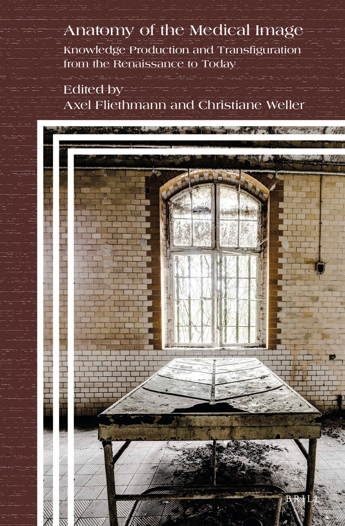 Cover image for Anatomy of the Medical Image ISBN 9789004406759