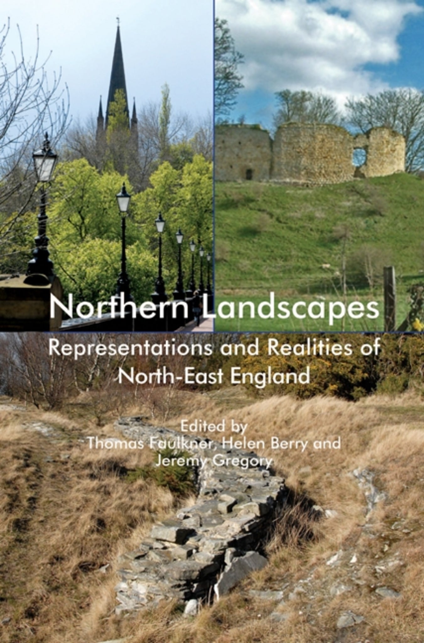 Cover image for Northern Landscapes ISBN 9781843835417