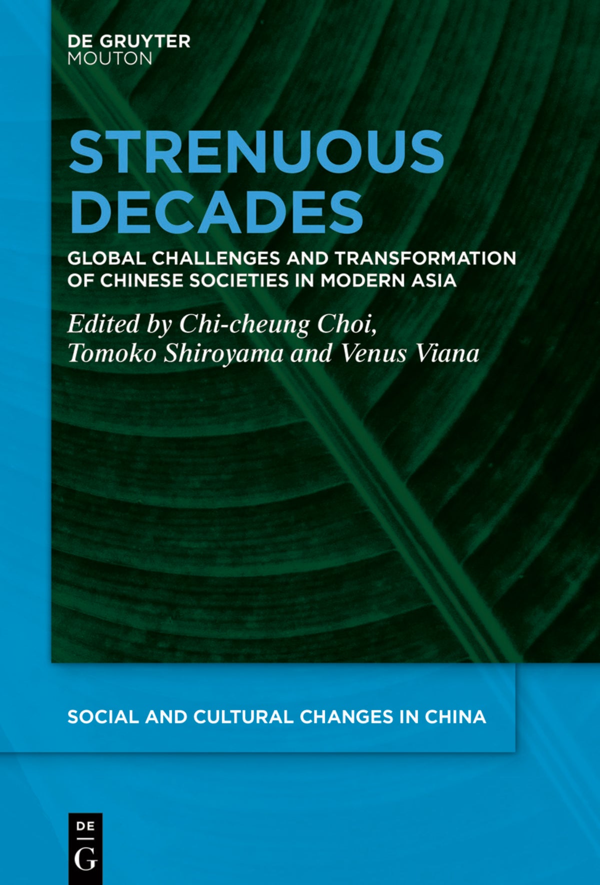 Cover image for Strenuous Decades ISBN 9783110673449
