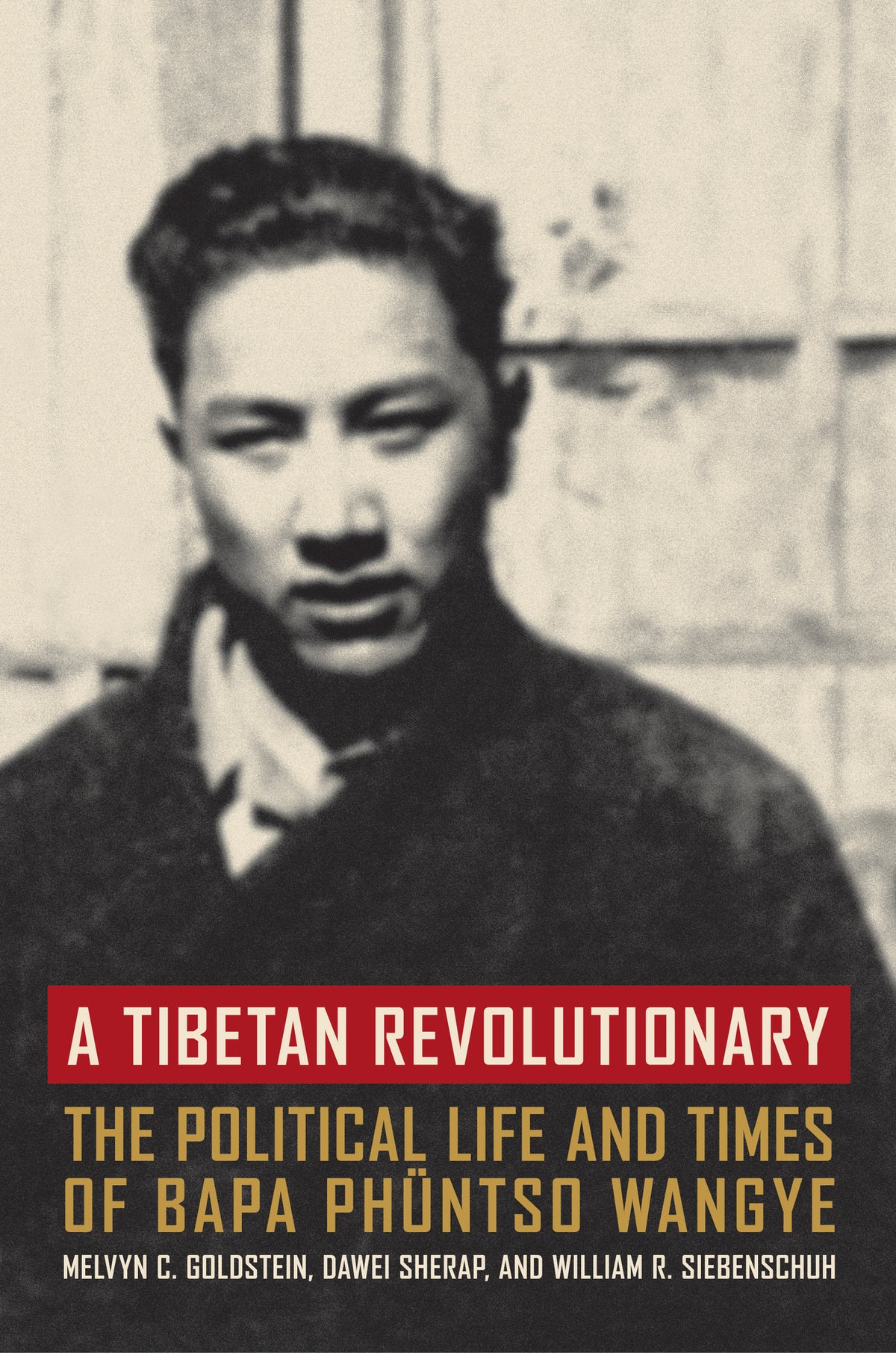 Cover image for A Tibetan Revolutionary ISBN 9780520940307