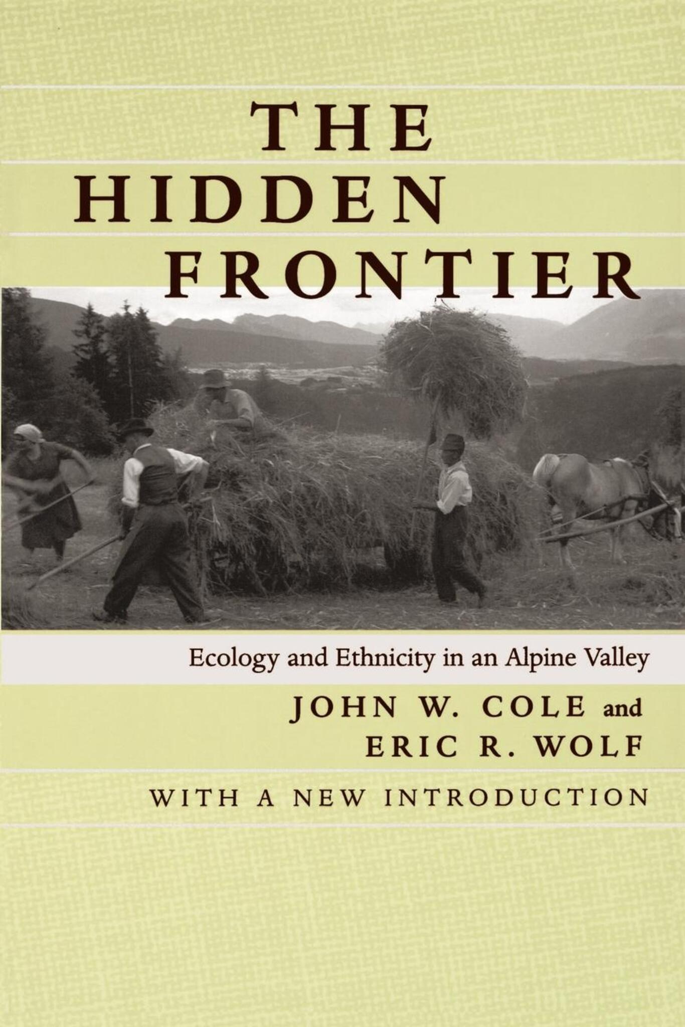 Cover image for The Hidden Frontier ISBN 9780520922174