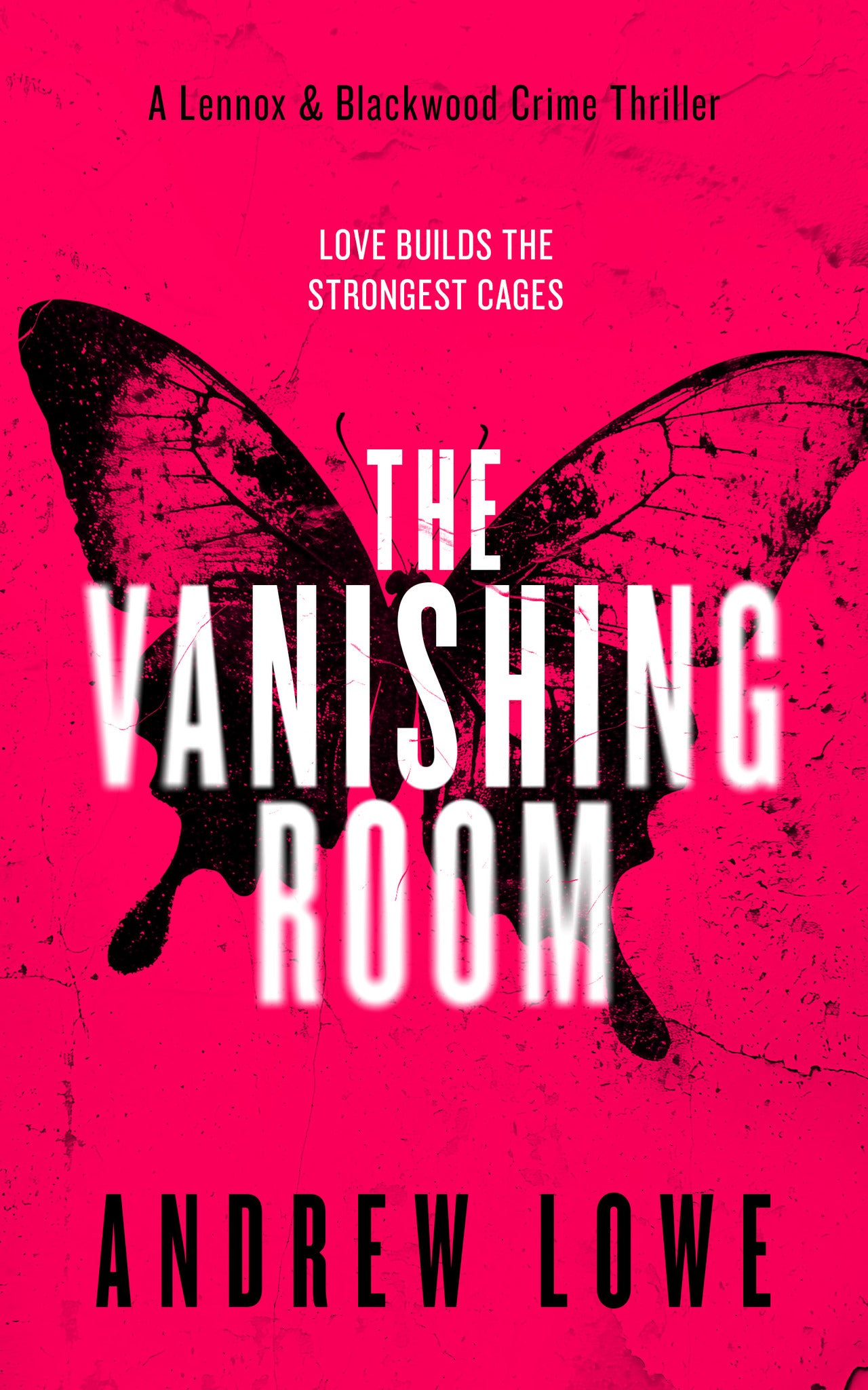 Cover image for The Vanishing Room ISBN 9781036711405