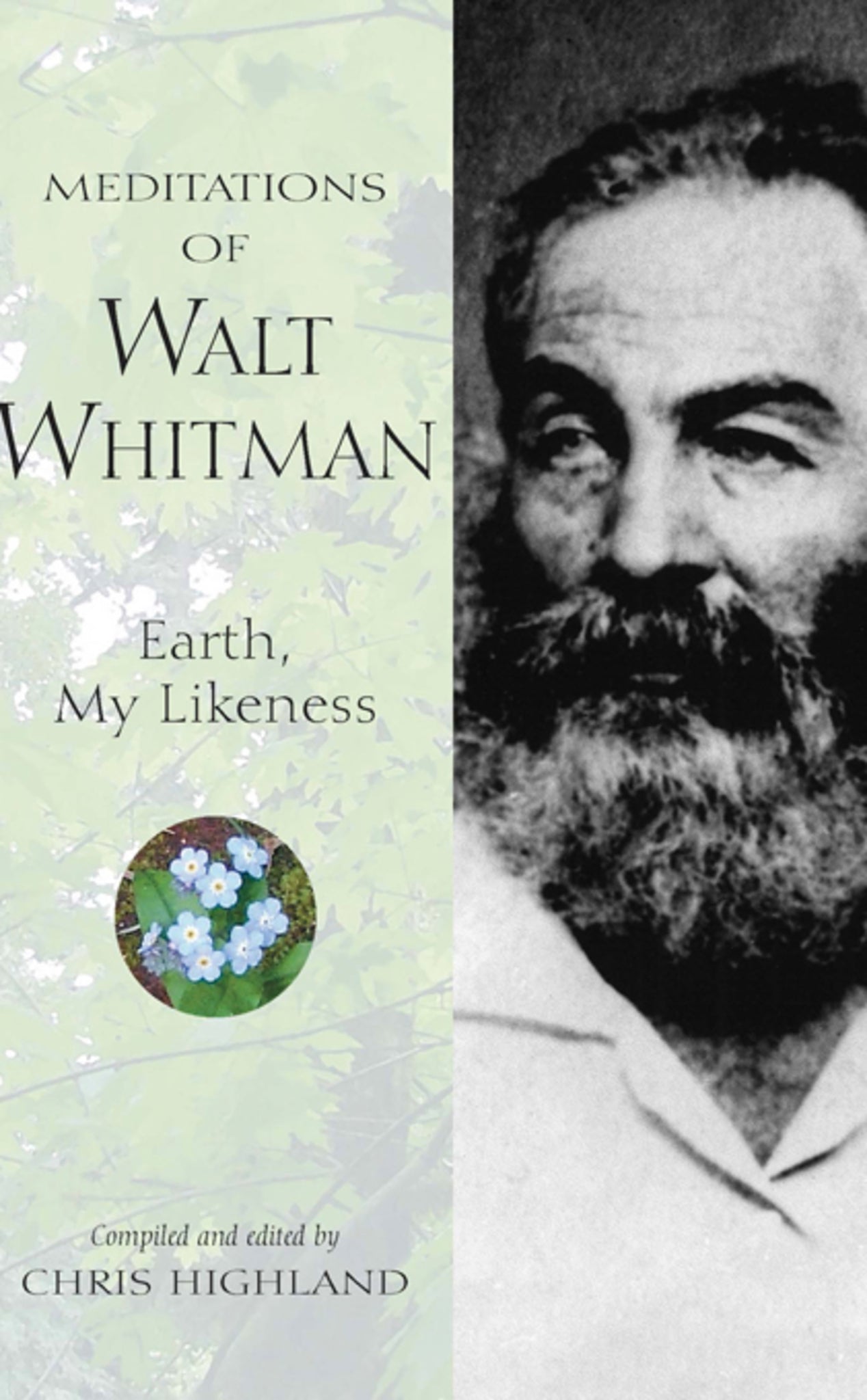 Cover image for Meditations of Walt Whitman ISBN 9780899976143