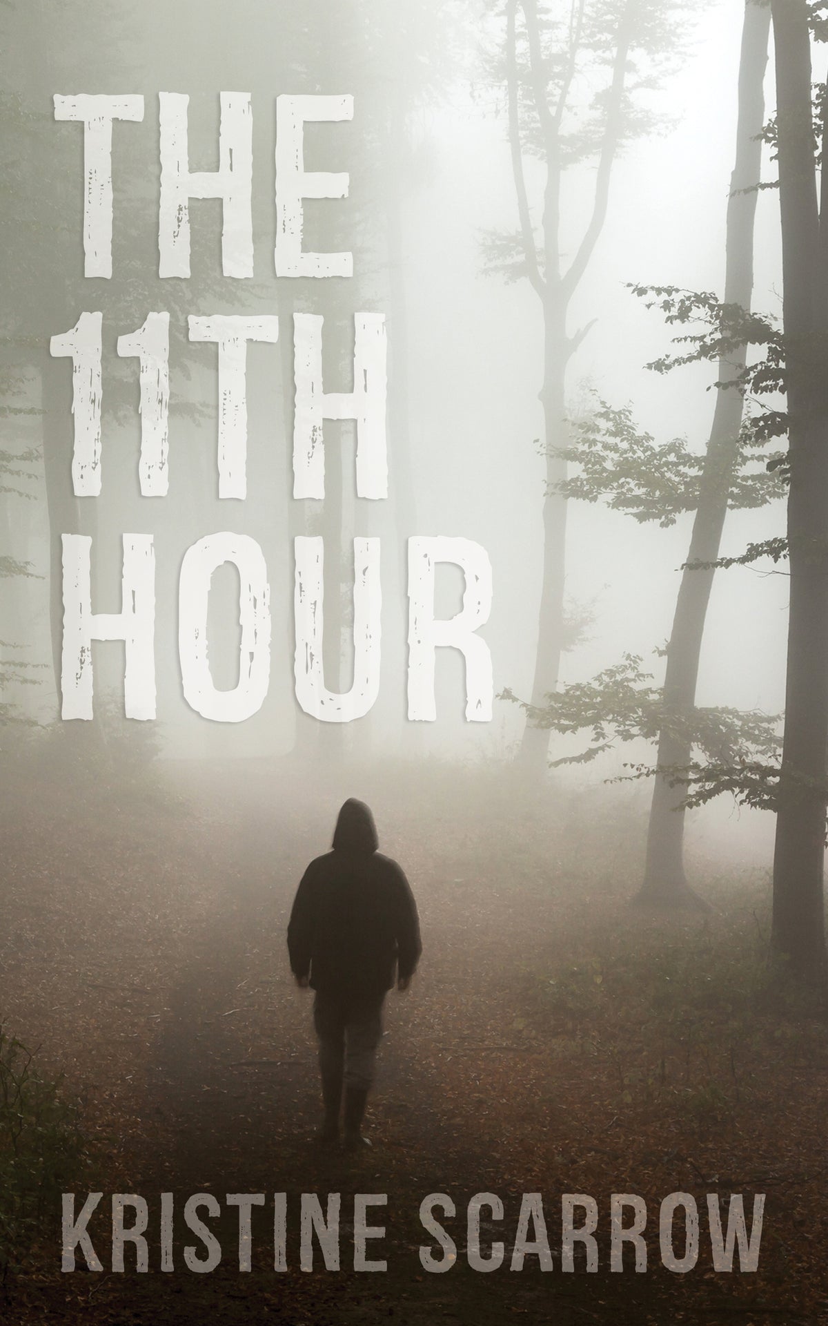 Cover image for The 11th Hour ISBN 9781459740372