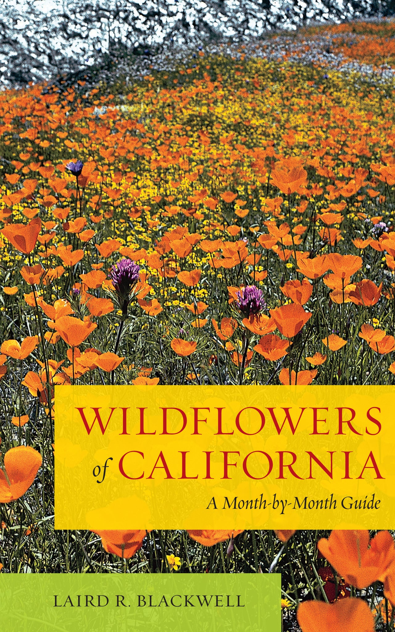 Wildflowers of California